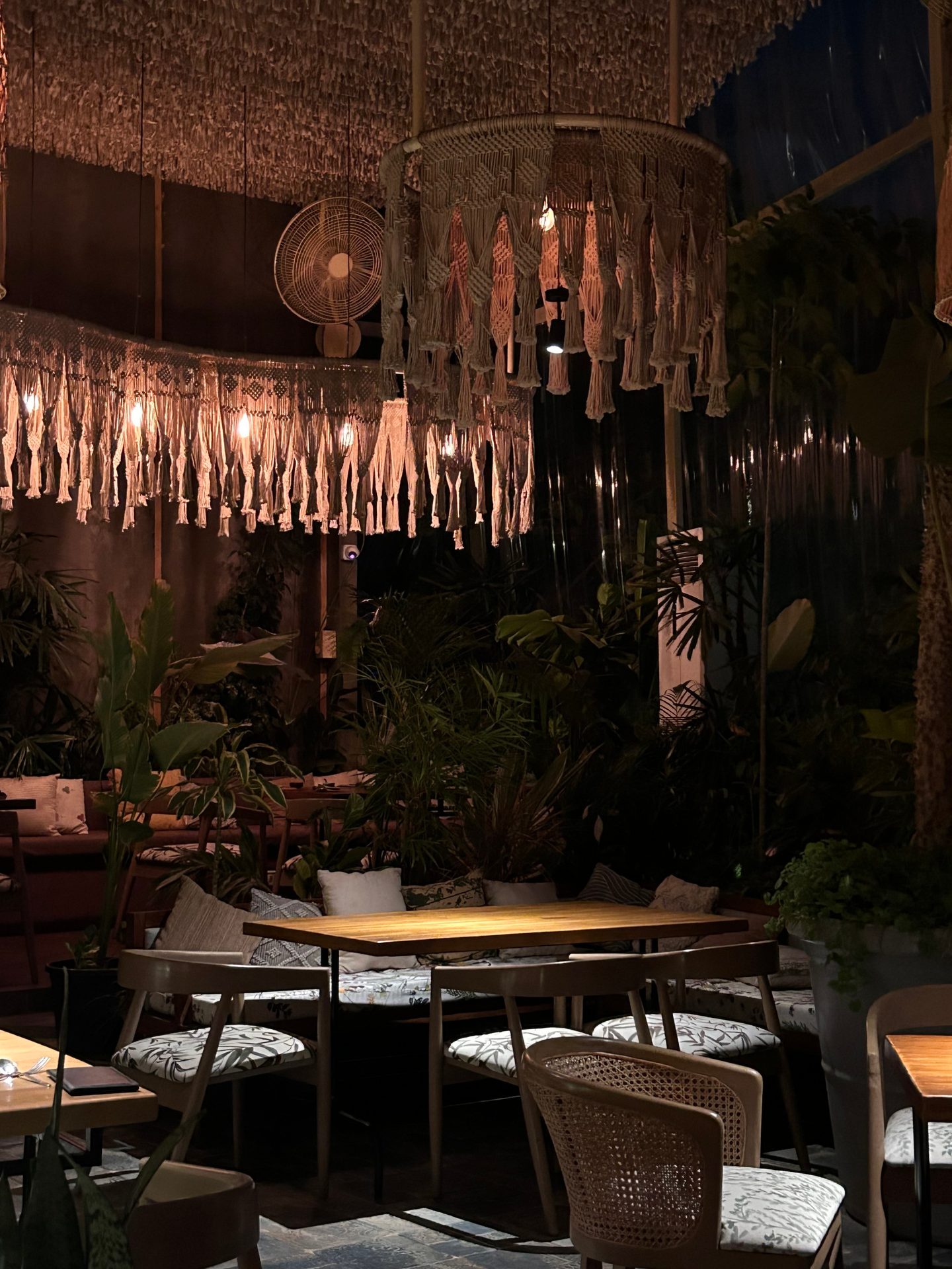 Interior design, Furniture, Table, Chair, Decoration, Plant, Building