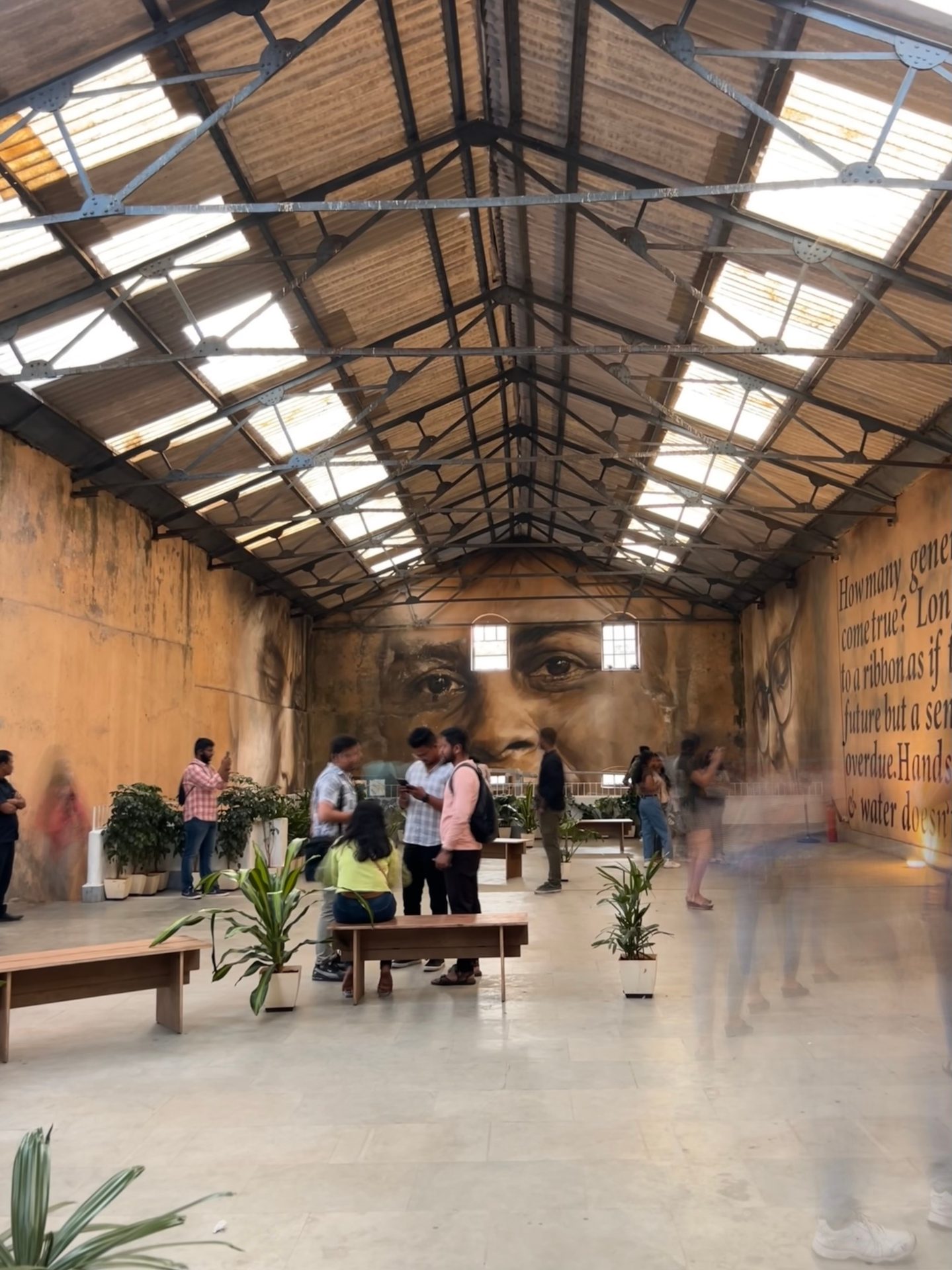Interior design, Plant, Lighting, Table, Window, Floor, Wood