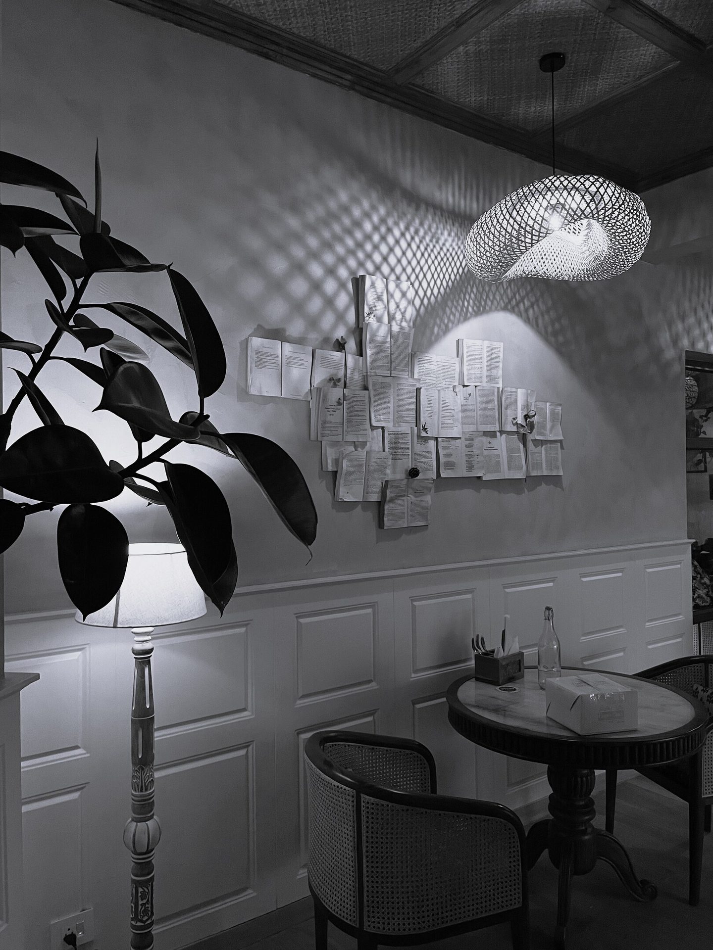 Interior design, Plant, Black, Houseplant, Black-and-white, Lighting, Table, Grey, Style, Wall