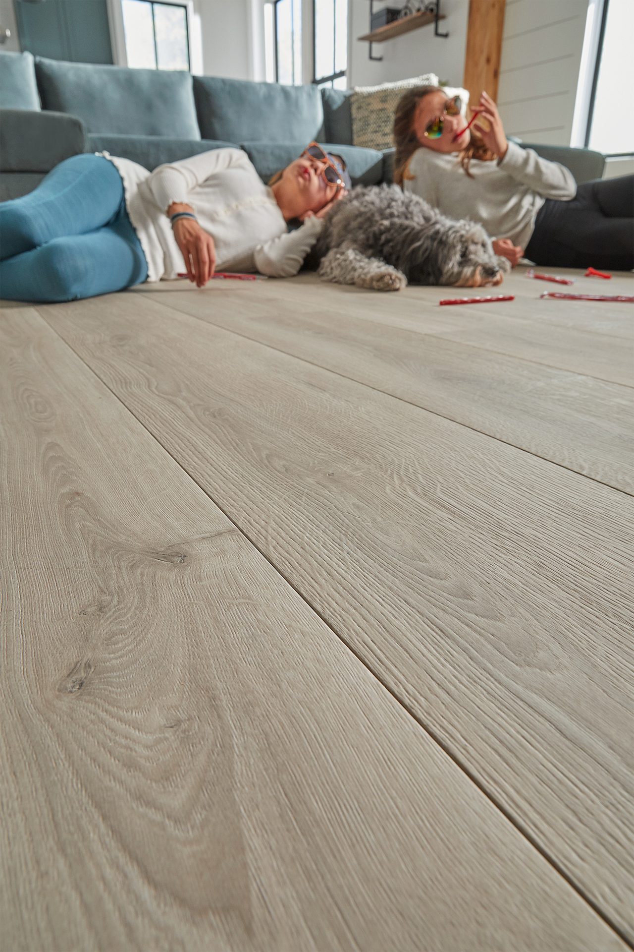 Interior design, Comfort, Vertebrate, Couch, Textile, Wood, Mammal, Flooring, Grey, Floor