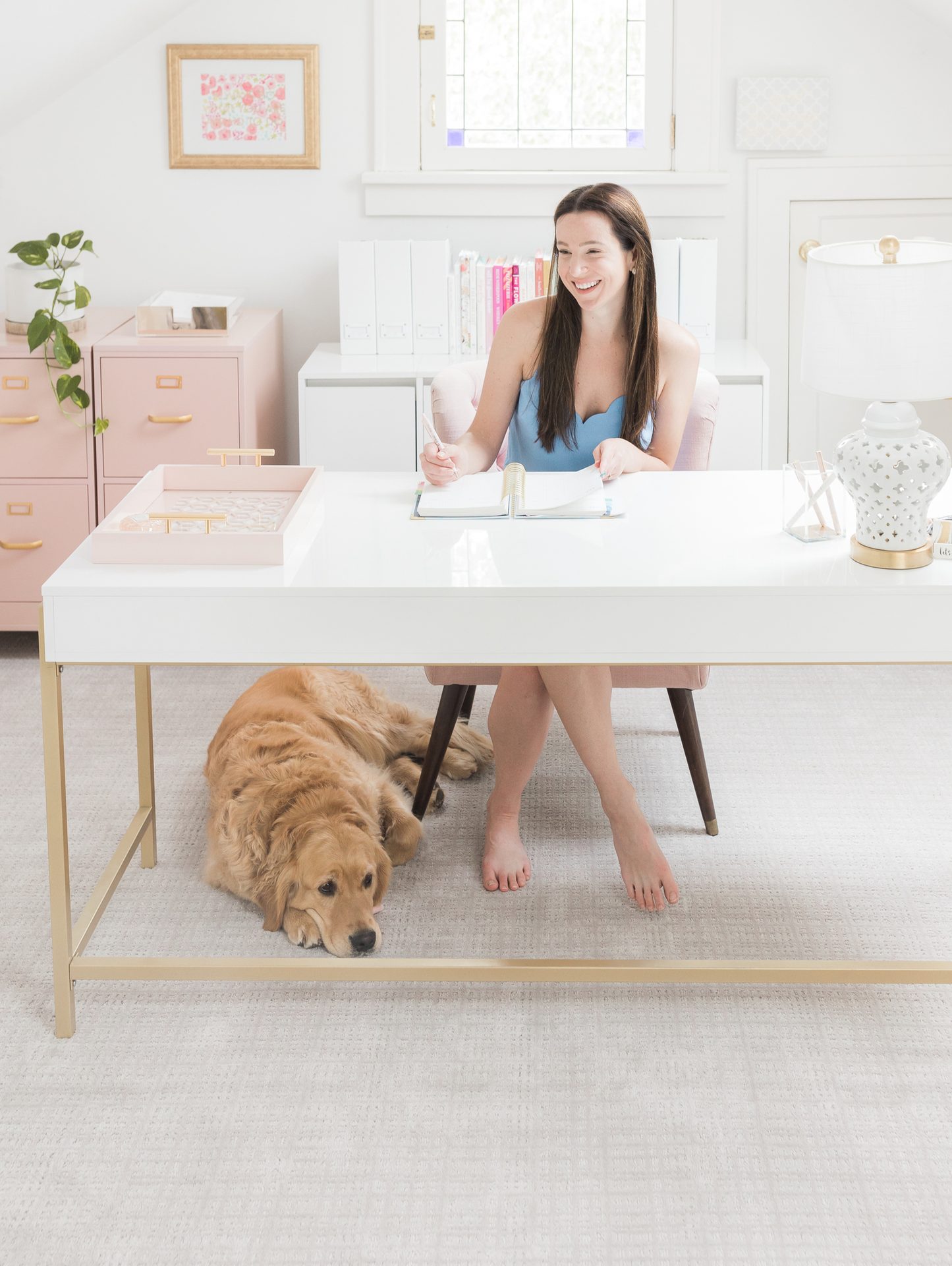 studio couch, Interior design, Table, Furniture, Comfort, Dog, Carnivore, Flooring, Wood
