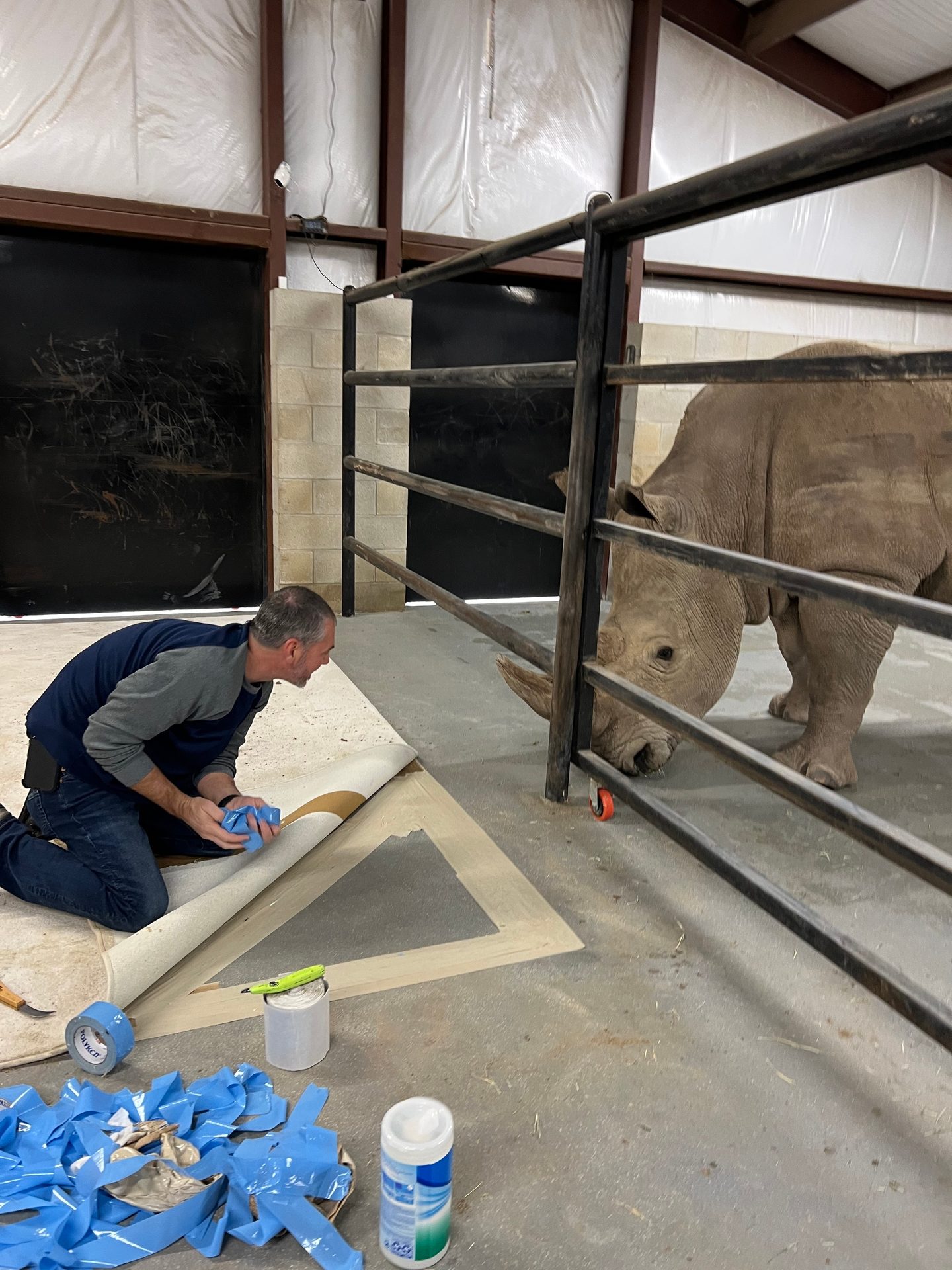 Working animal, Elephant, Tradesman, Wood