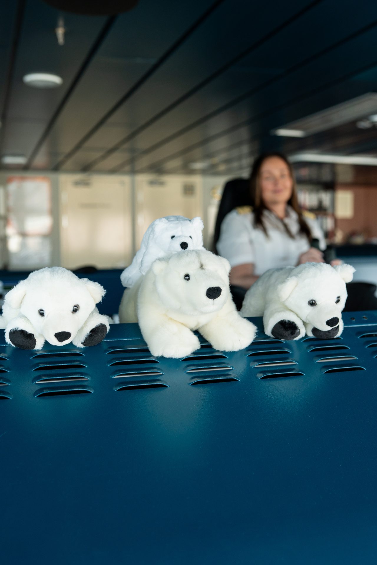 White polar bear stuffed animals on a navy blue surface, a blurred female captain behind them.