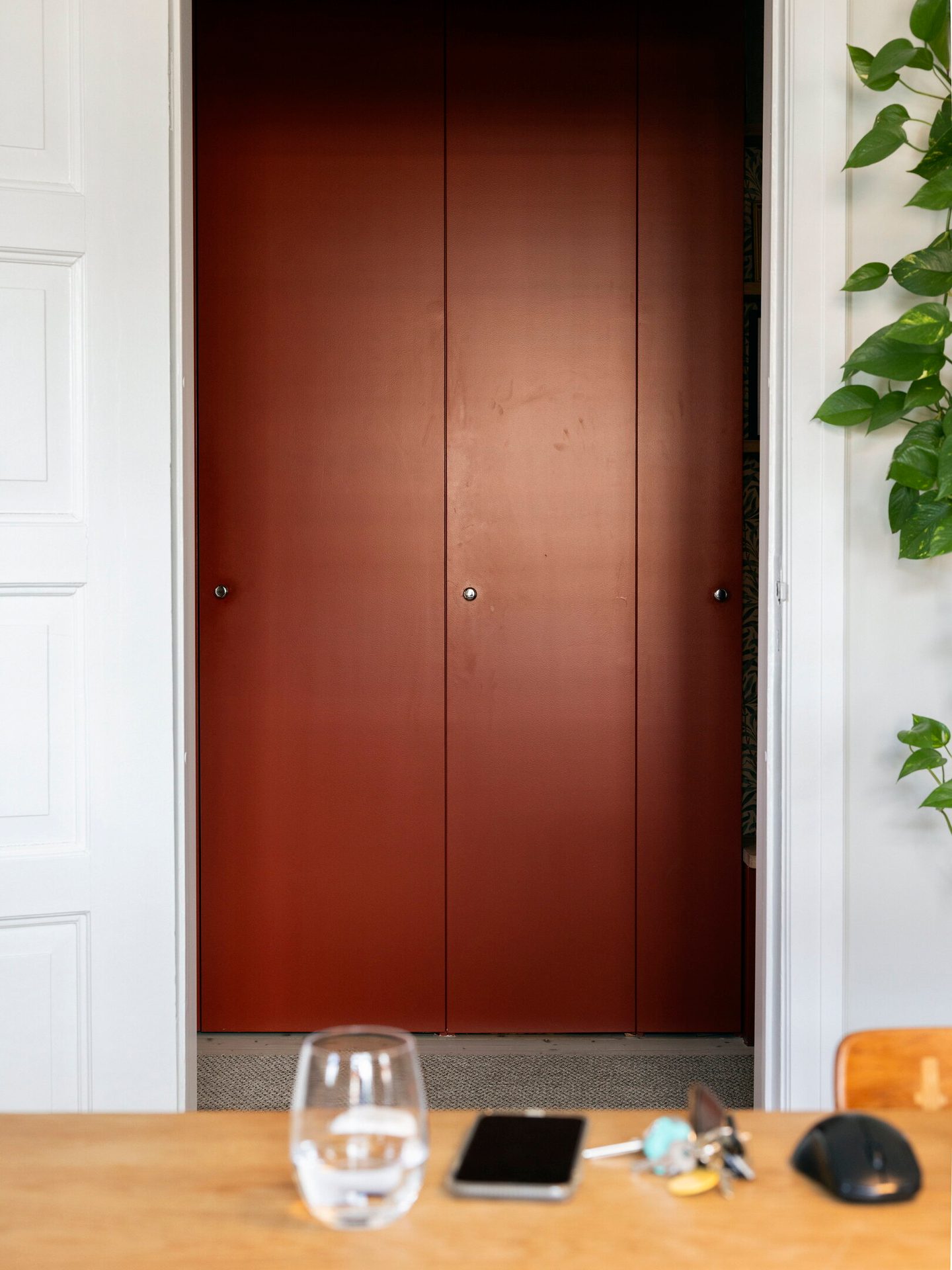 Wood stain, Plant, Door, Tableware, Fixture, Drinkware
