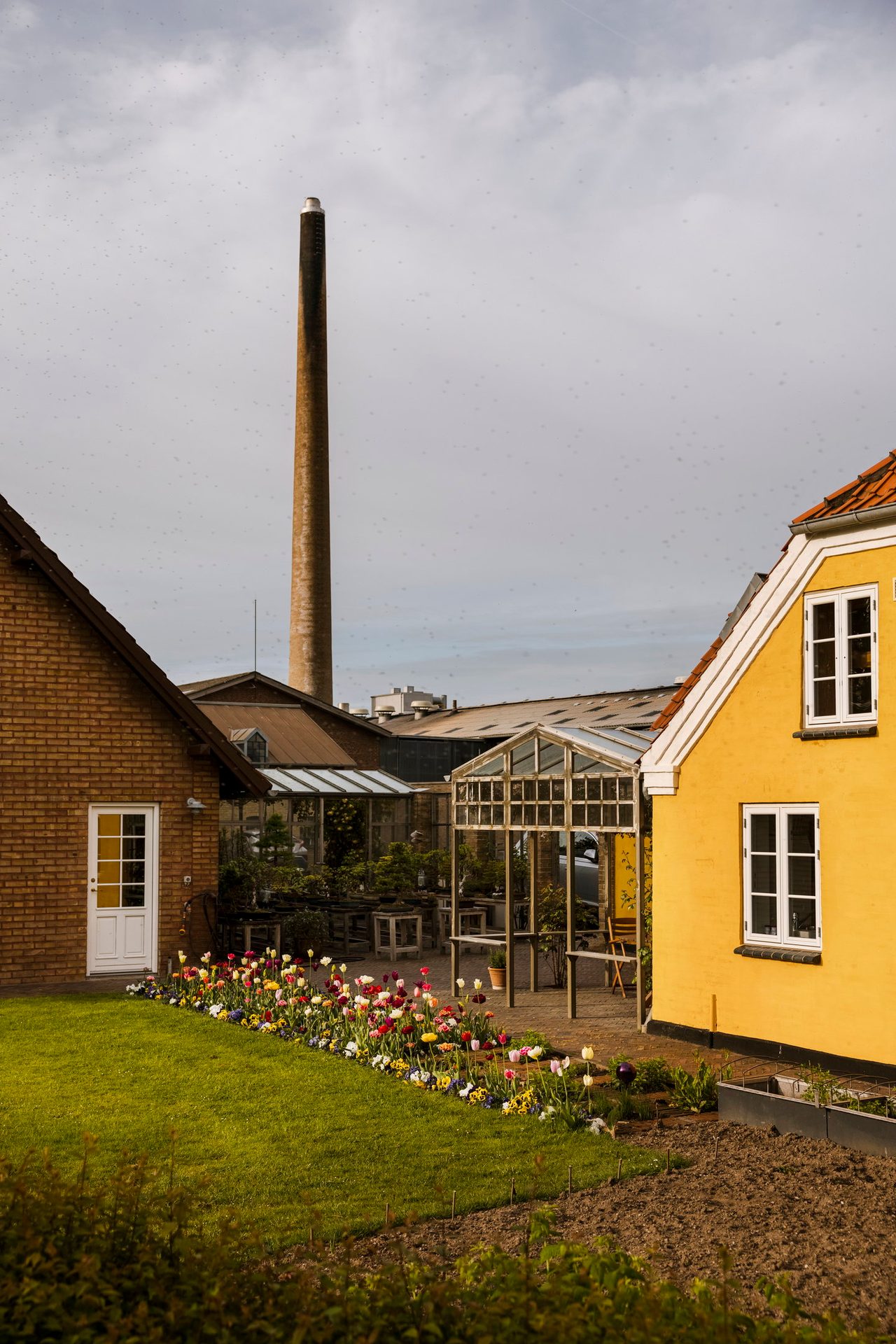 Land lot, Residential area, Cloud, Plant, Sky, Window, Building, House, Wood, Grass