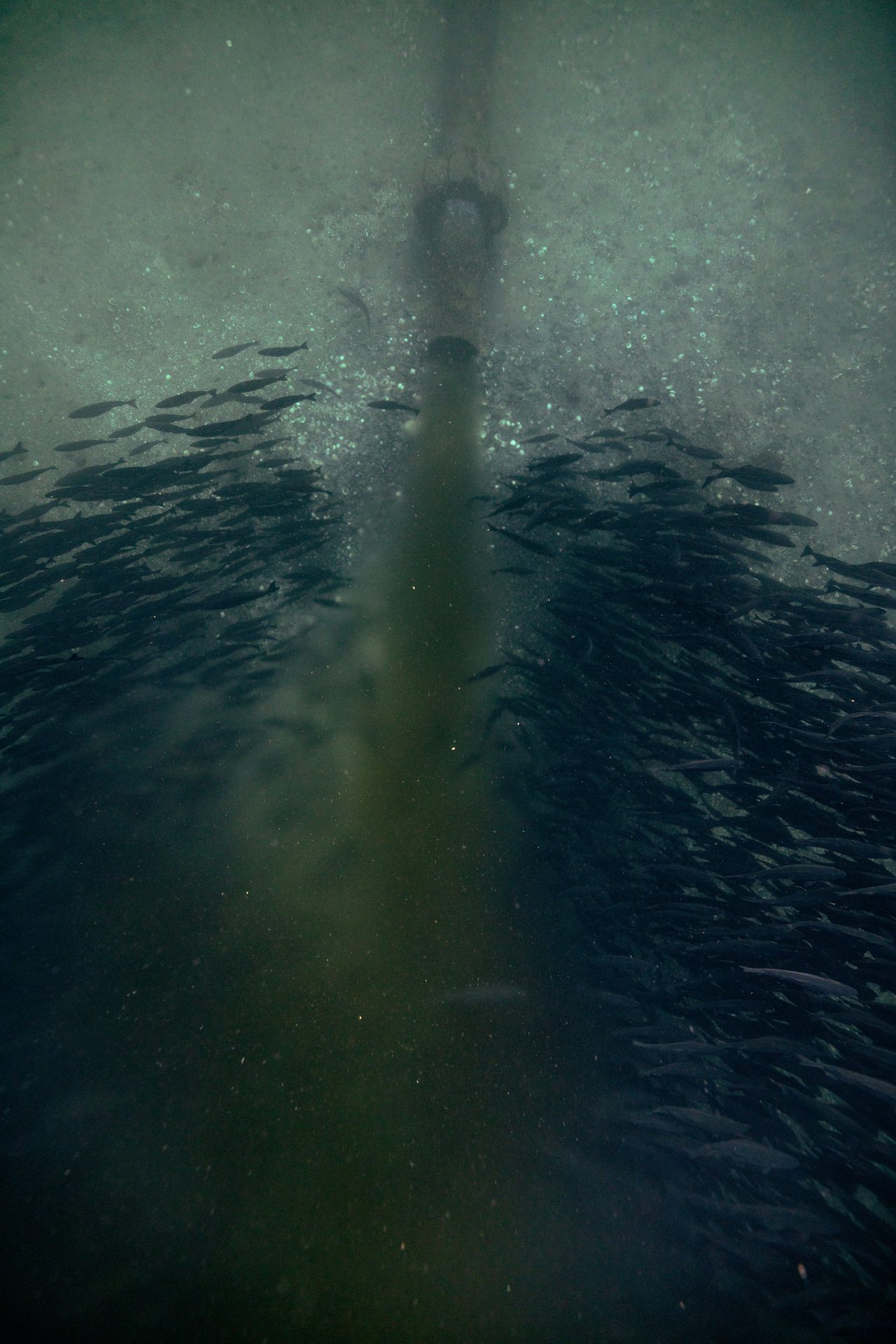 Water, Liquid, Fluid