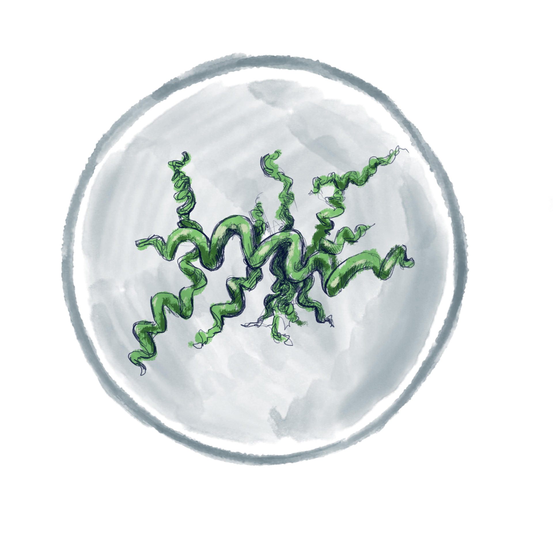 Green spirals within a dark blue circle on a dark green background.