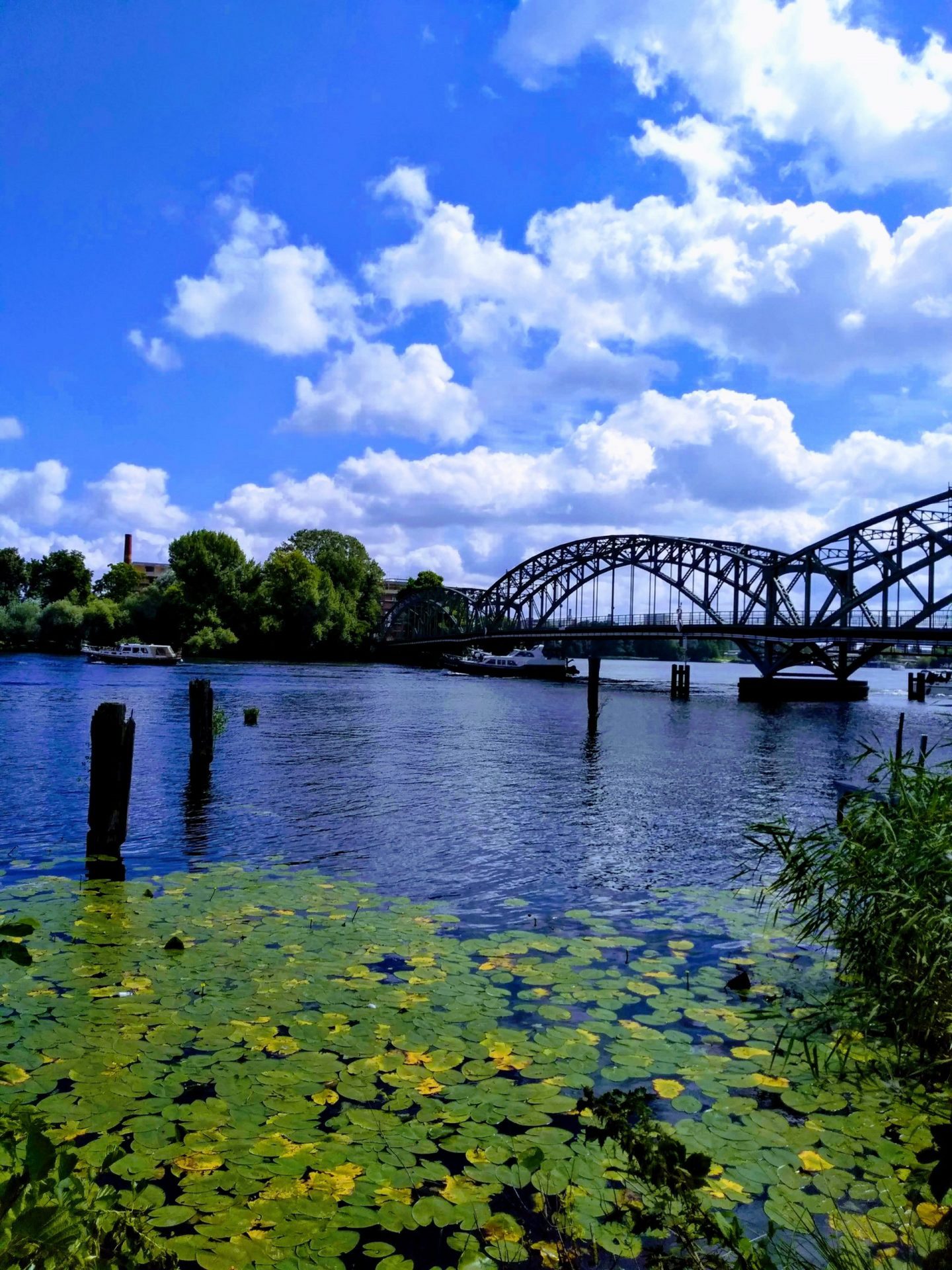 Blue sky with white clouds, a river full of lily pads, and a dark arched bridge.