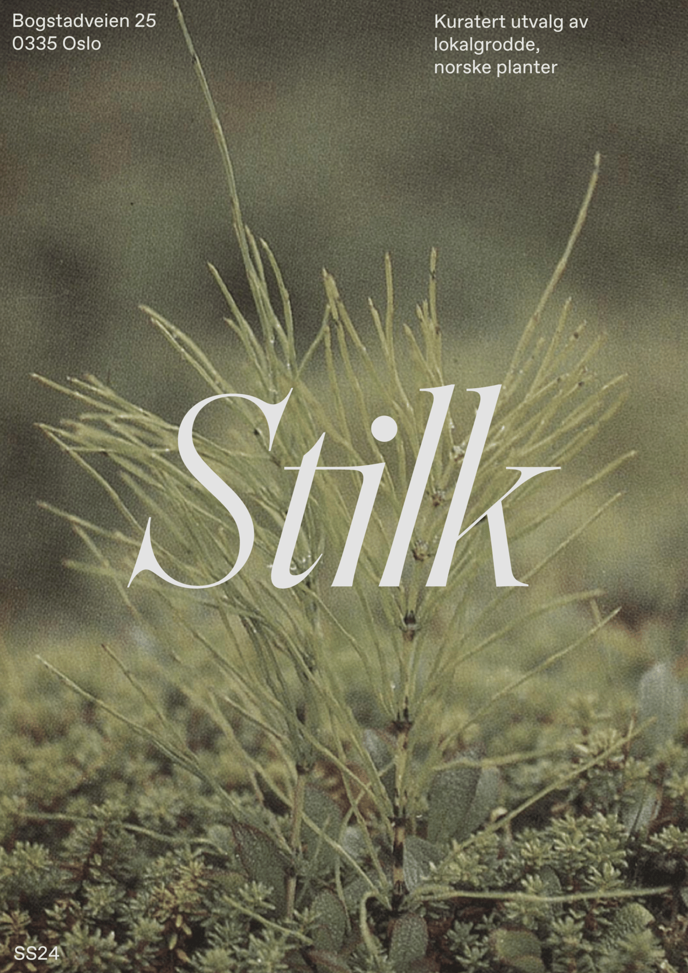 Terrestrial plant, Poster, Font, Grass