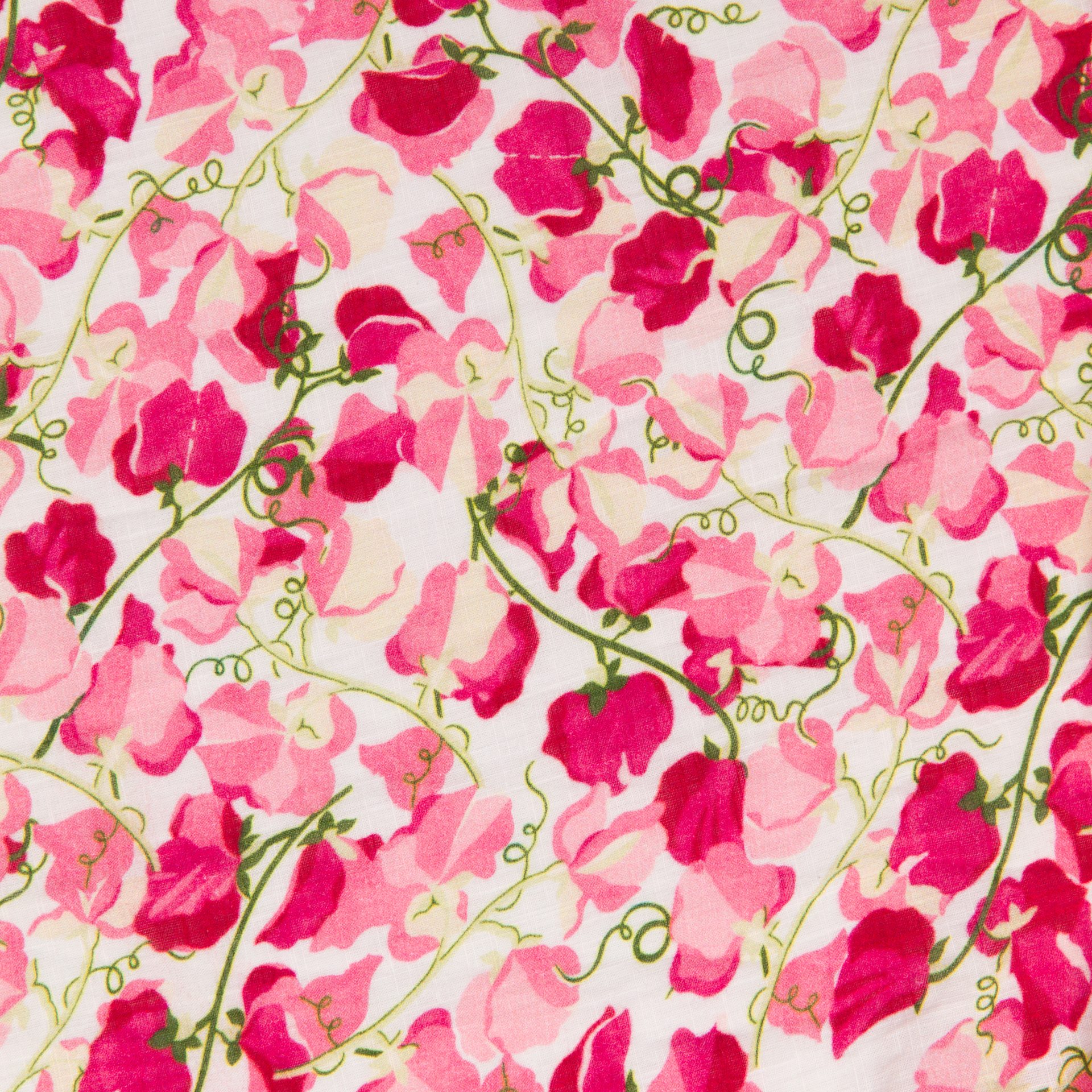 Flower, Petal, Botany, Leaf, Textile, Branch, Pink, Magenta