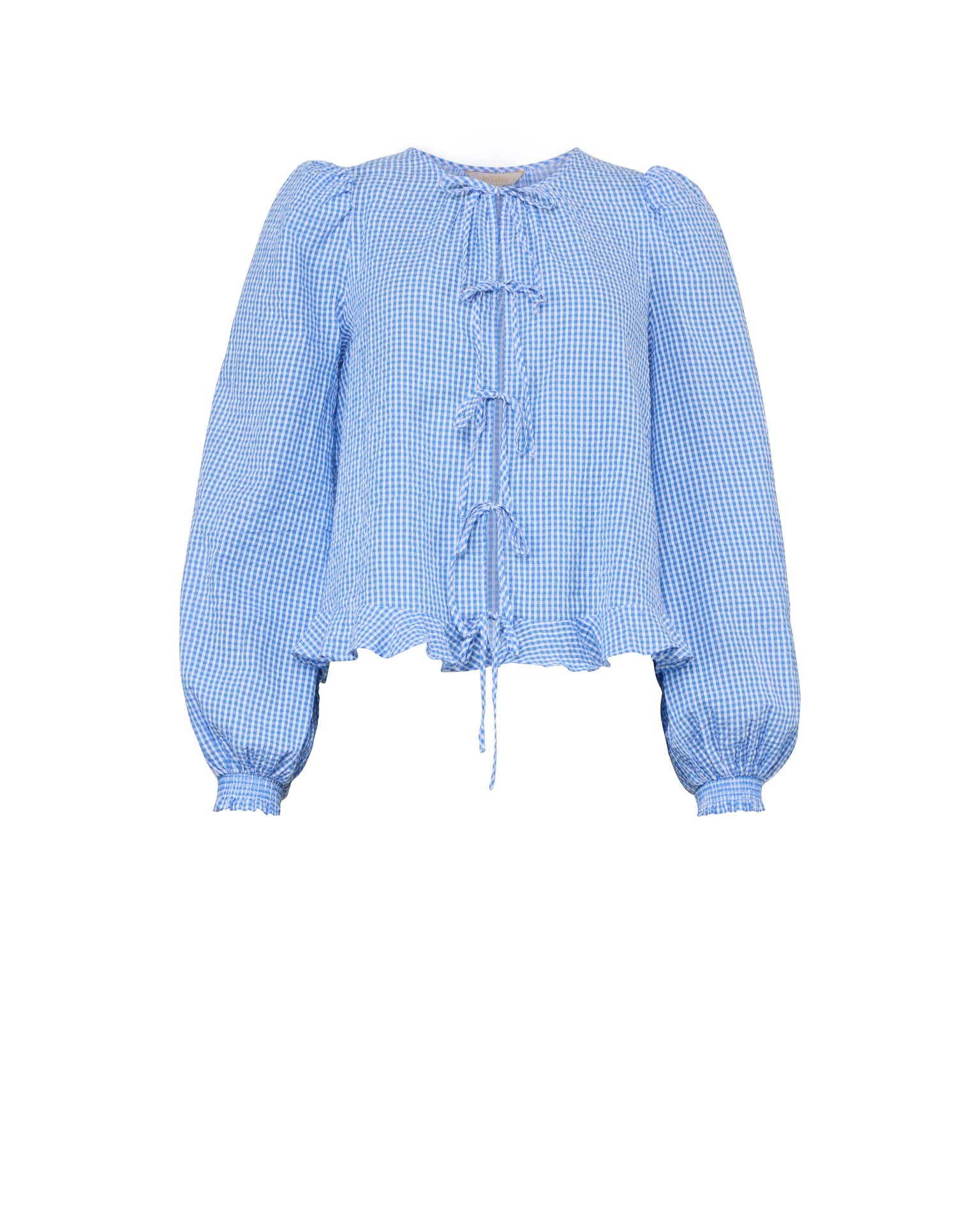 A blue gingham blouse with long puffed sleeves, drawstring ties, and a ruffled hem.