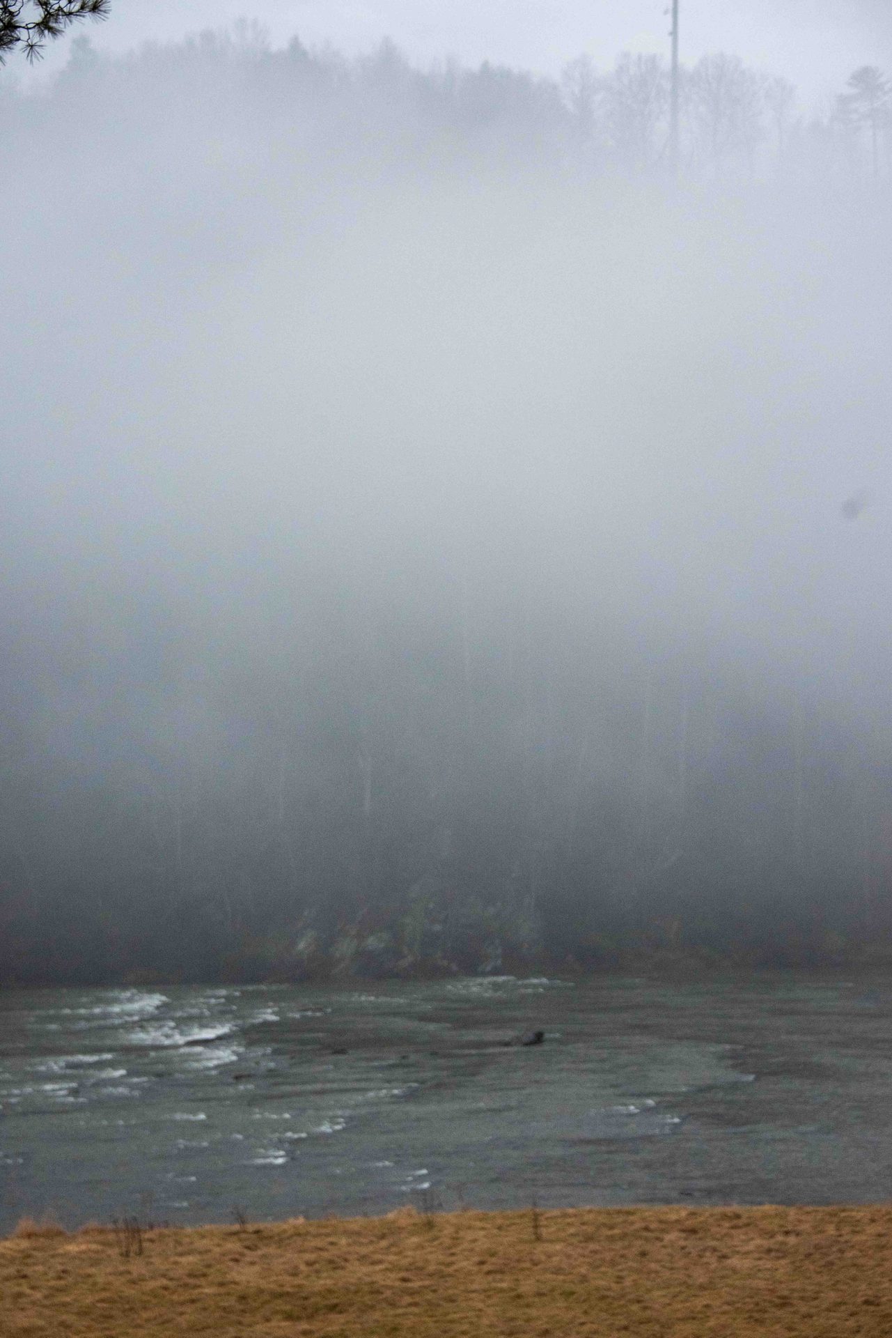 atmospheric phenomenon, Fog, Mist, Haze, Morning, Grey