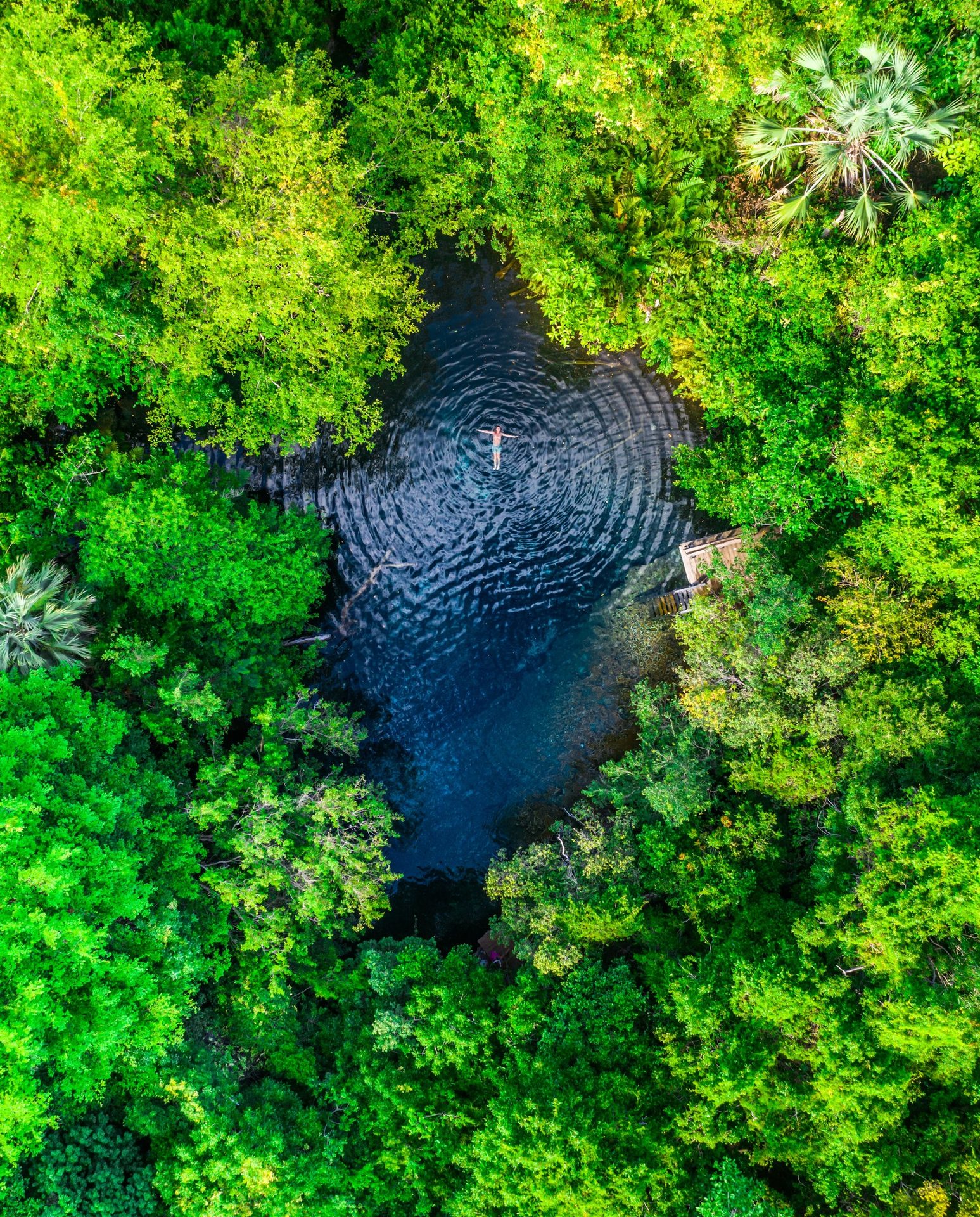 Plant community, Natural landscape, Water, Bird, Organism, Watercourse