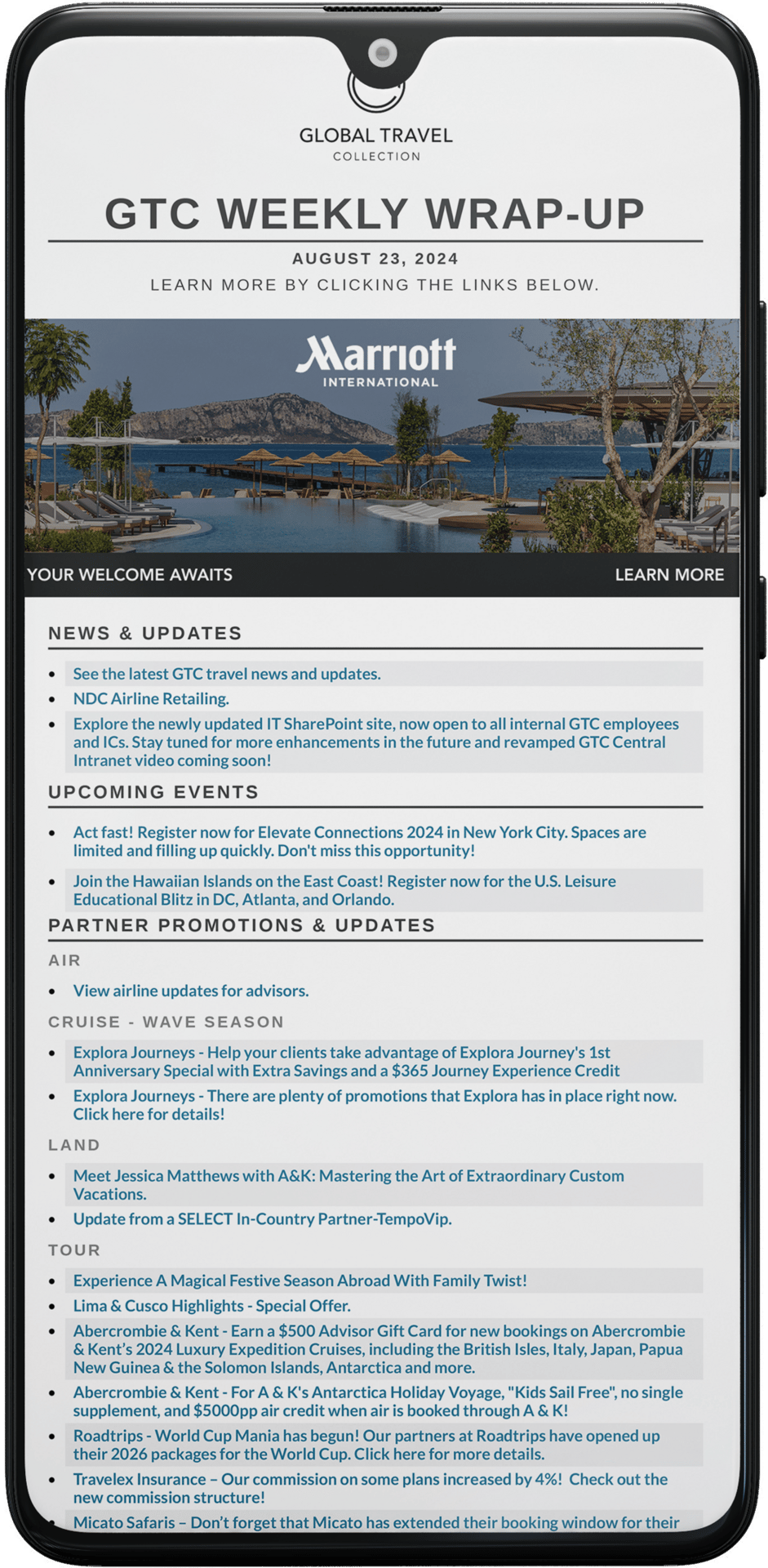 Terrestrial plant, Tree, Font