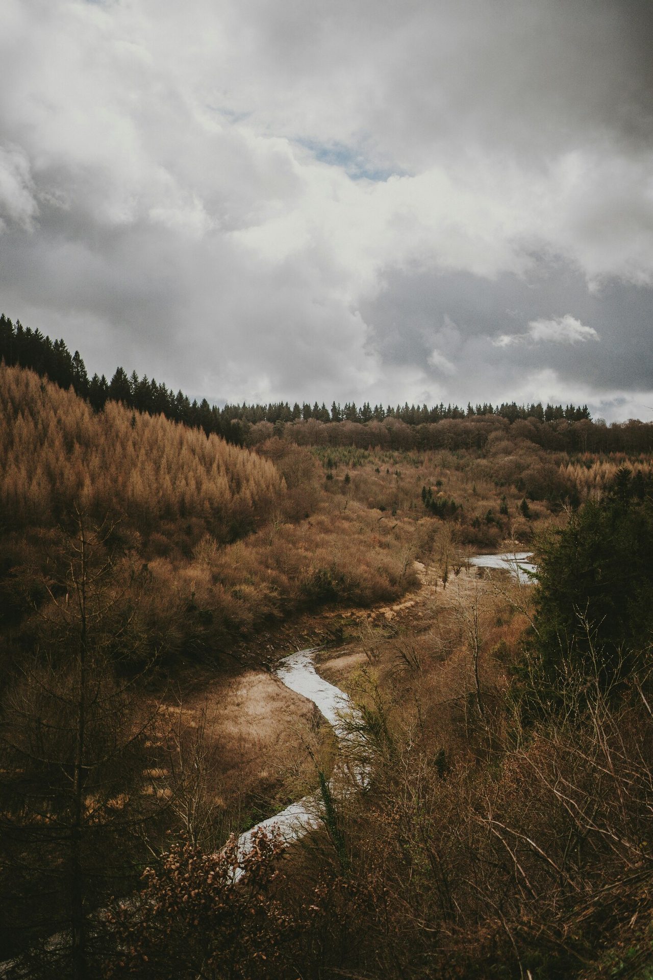 Natural landscape, Cloud, Sky, Plant, Highland