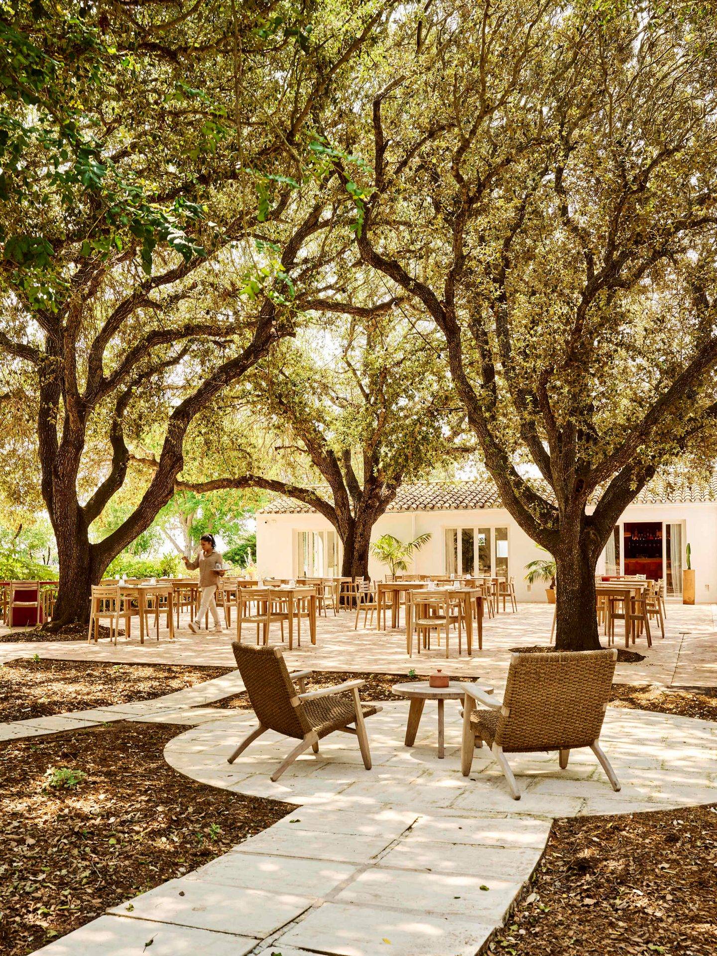 Outdoor dining patio under large trees with tables, chairs, and a person walking.