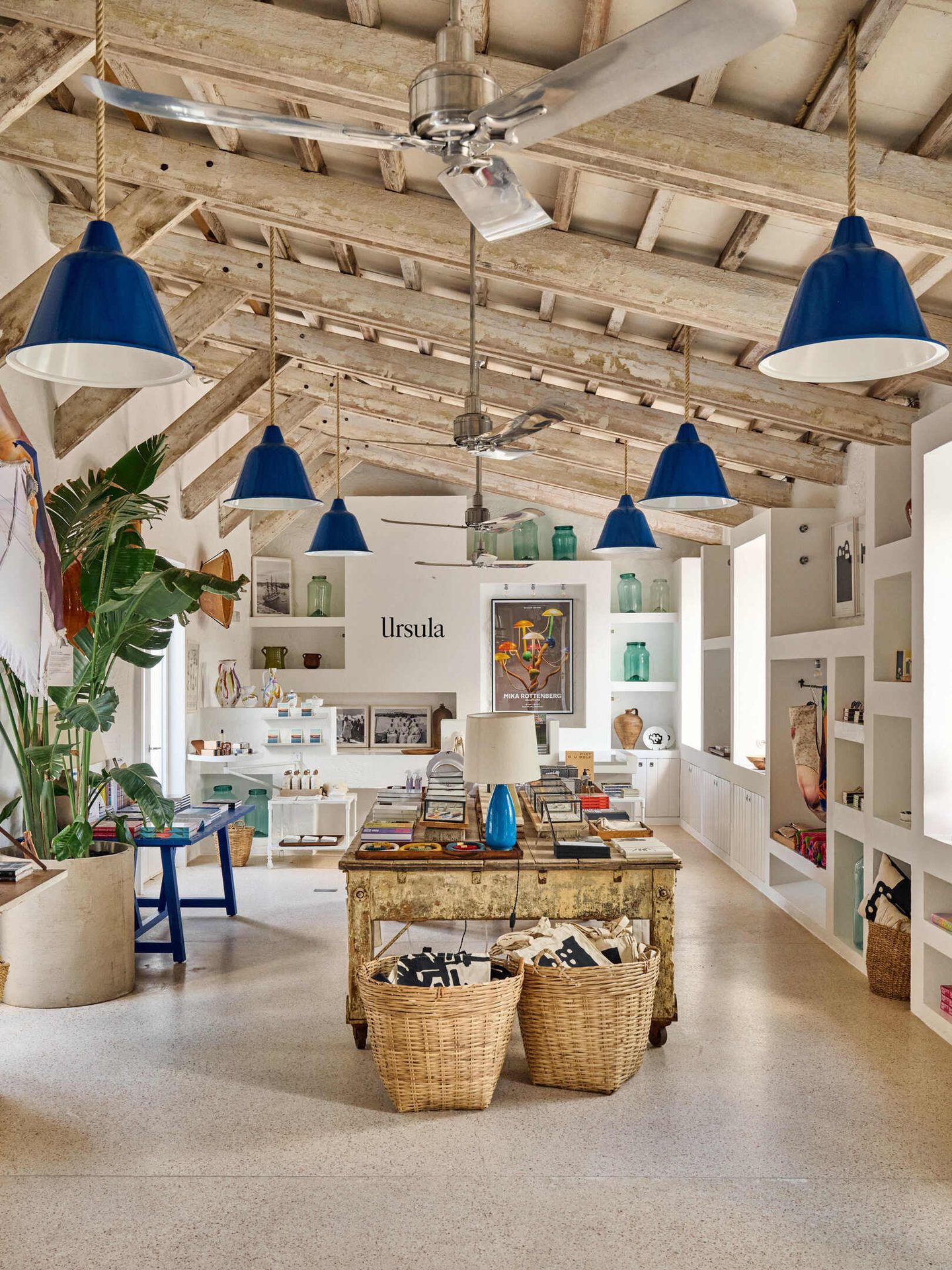 Bright shop interior with rustic ceiling, blue lamps, plants, and displays.