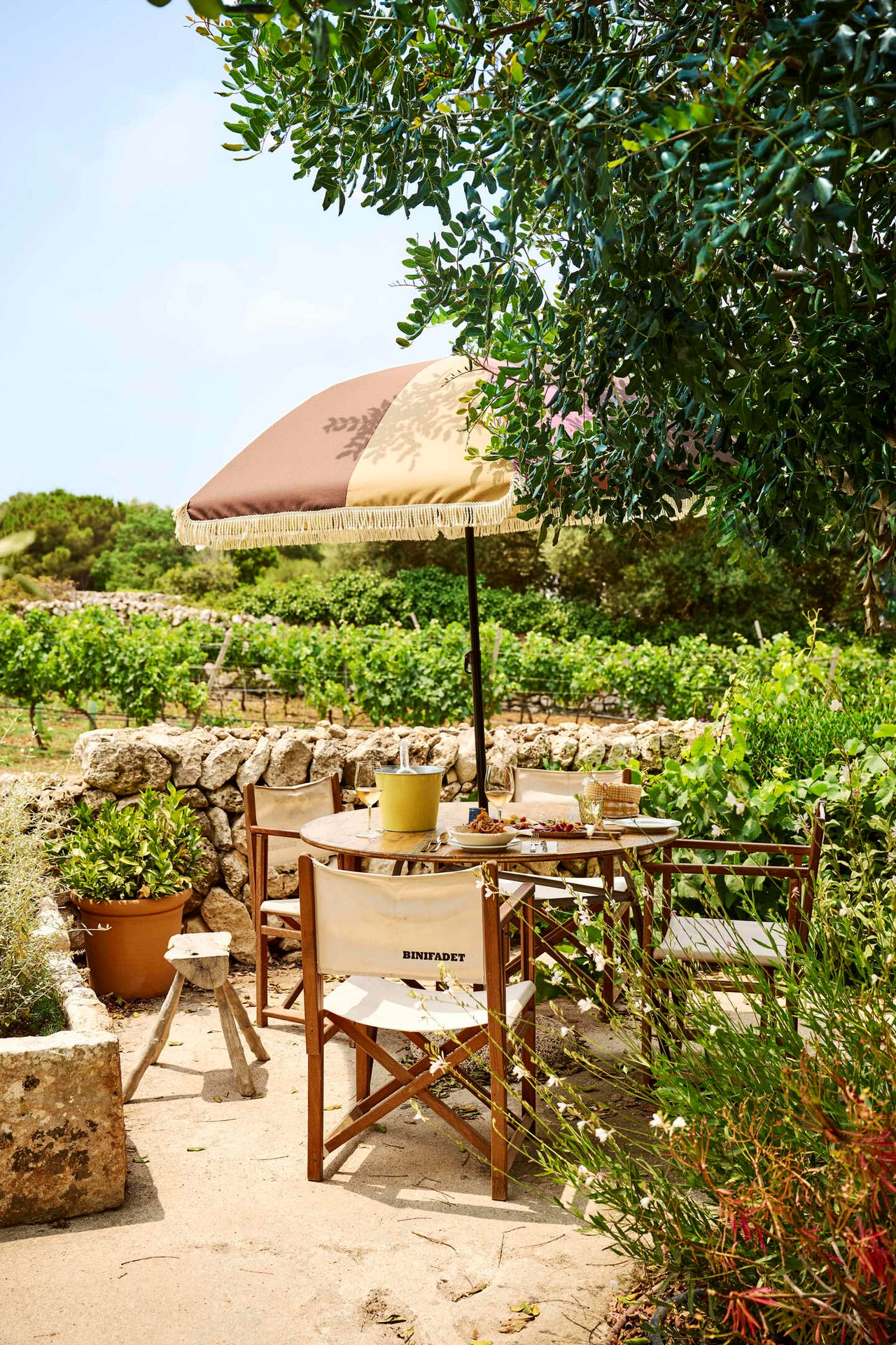 Outdoor dining in a vineyard with an umbrella, table set with food and wine.