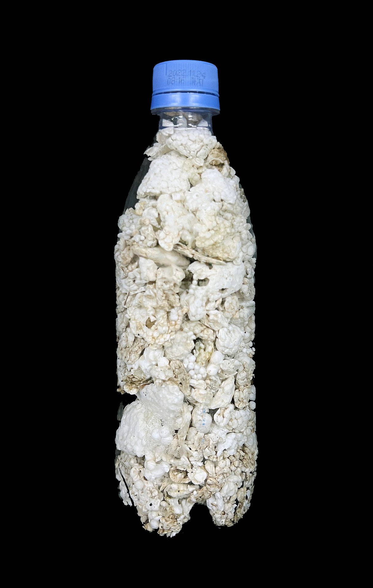 Water bottle, Liquid, Fluid