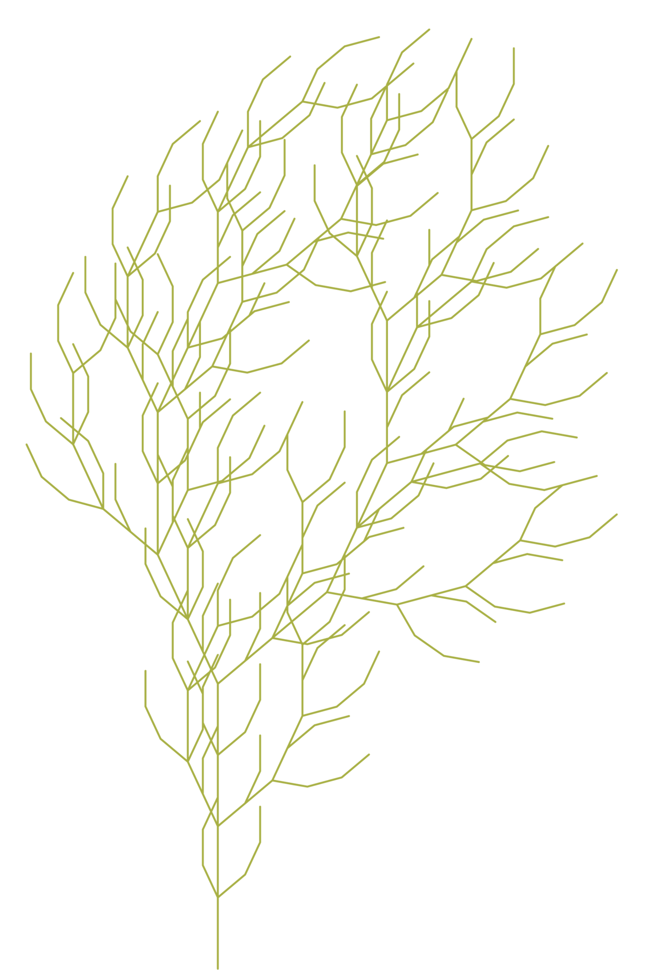 Terrestrial plant, Twig, Grass