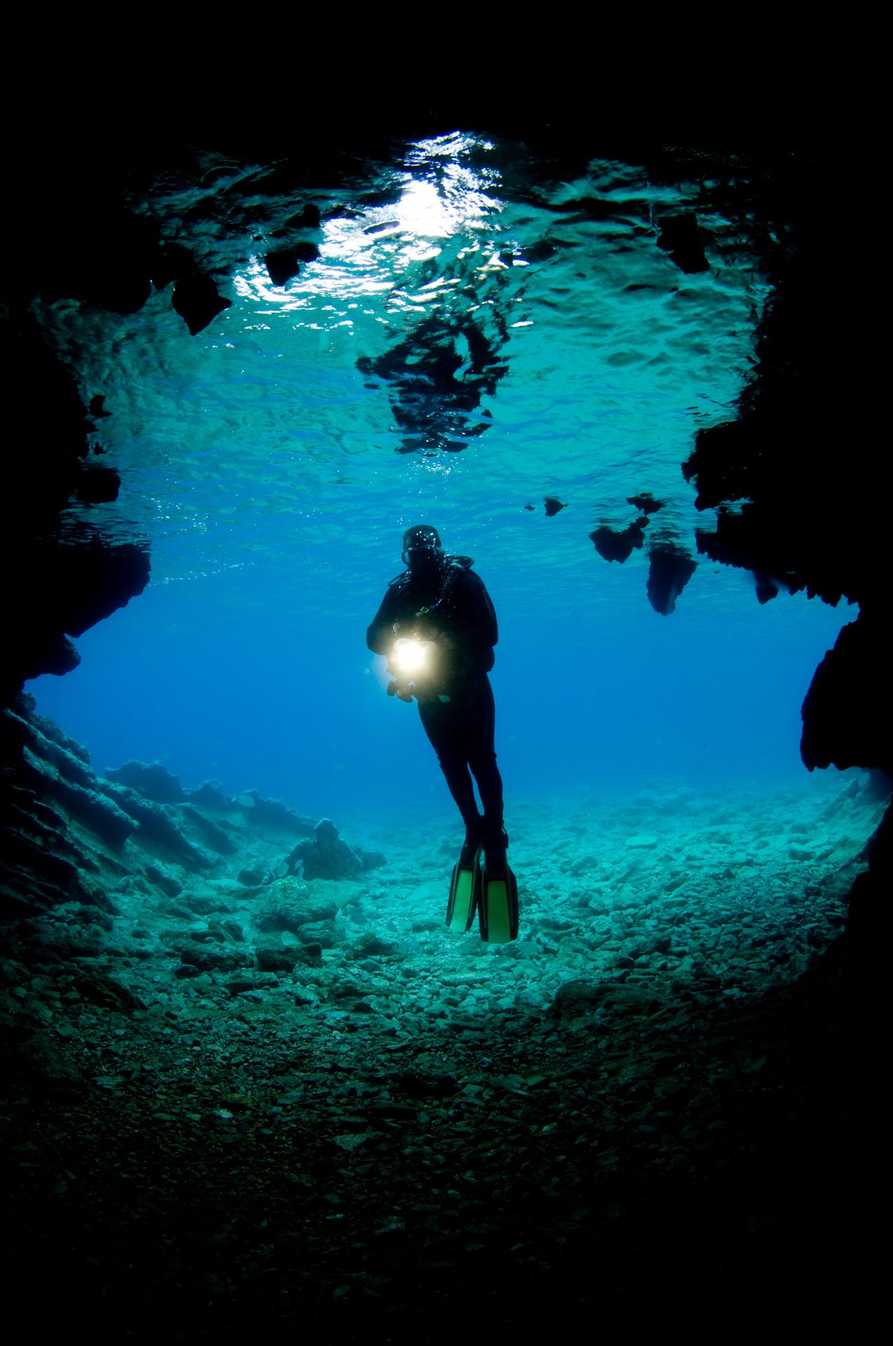 Body of water, Underwater diving, Vertebrate, Azure, Fluid, Organism, Divemaster