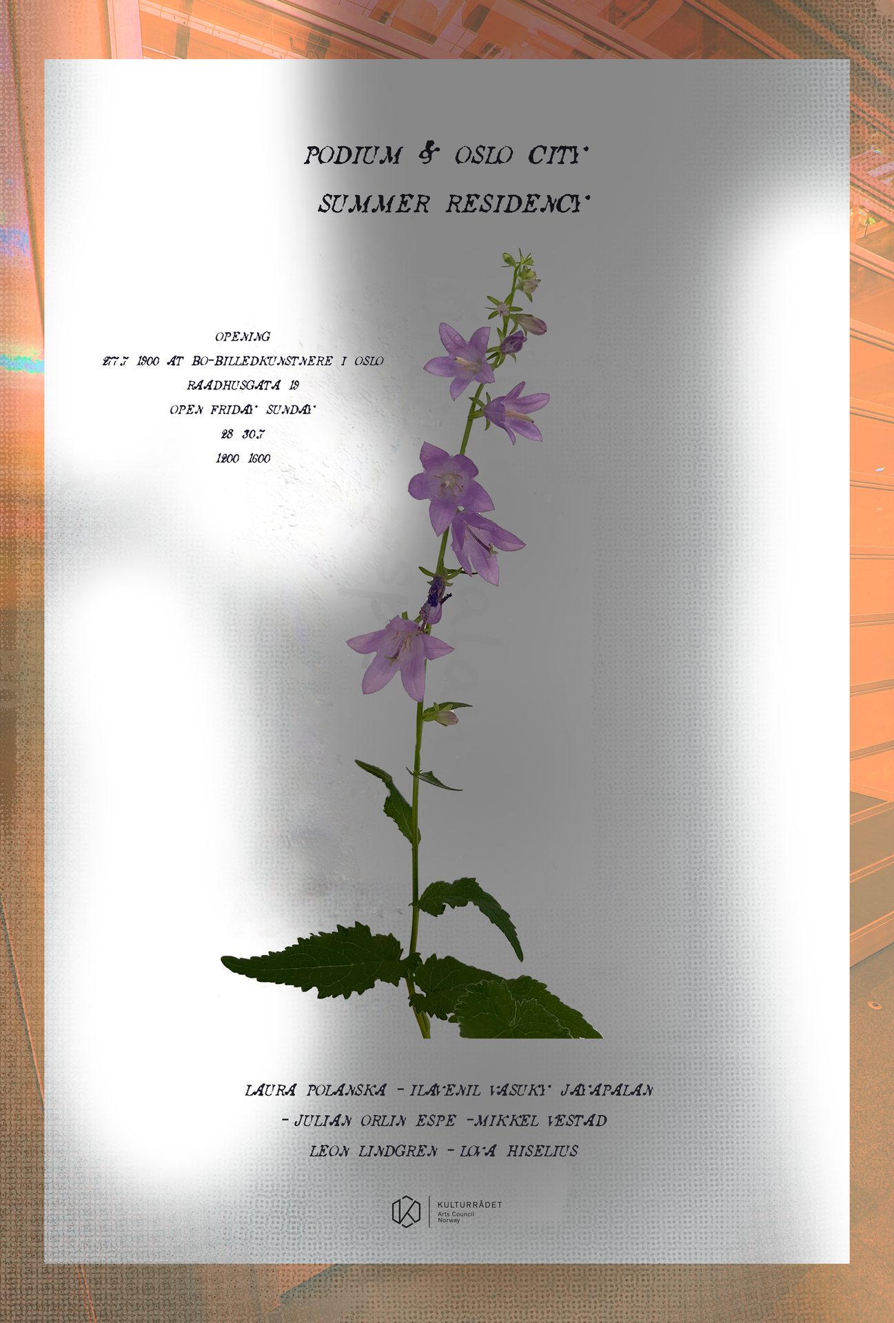 Terrestrial plant, Flower, Petal, Publication, Book
