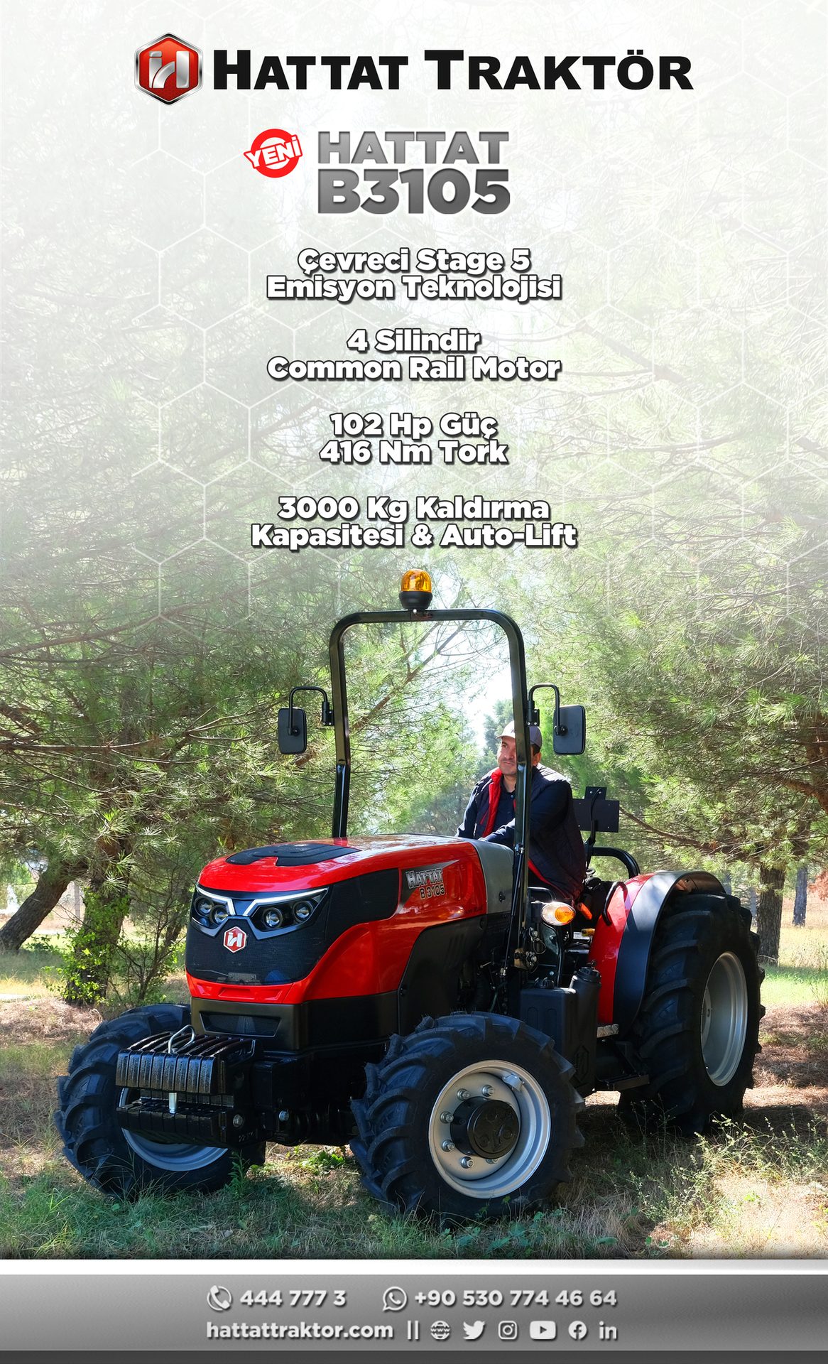 Automotive tire, Motor vehicle, Natural environment, Wheel, Plant, Nature, Tread, Grass