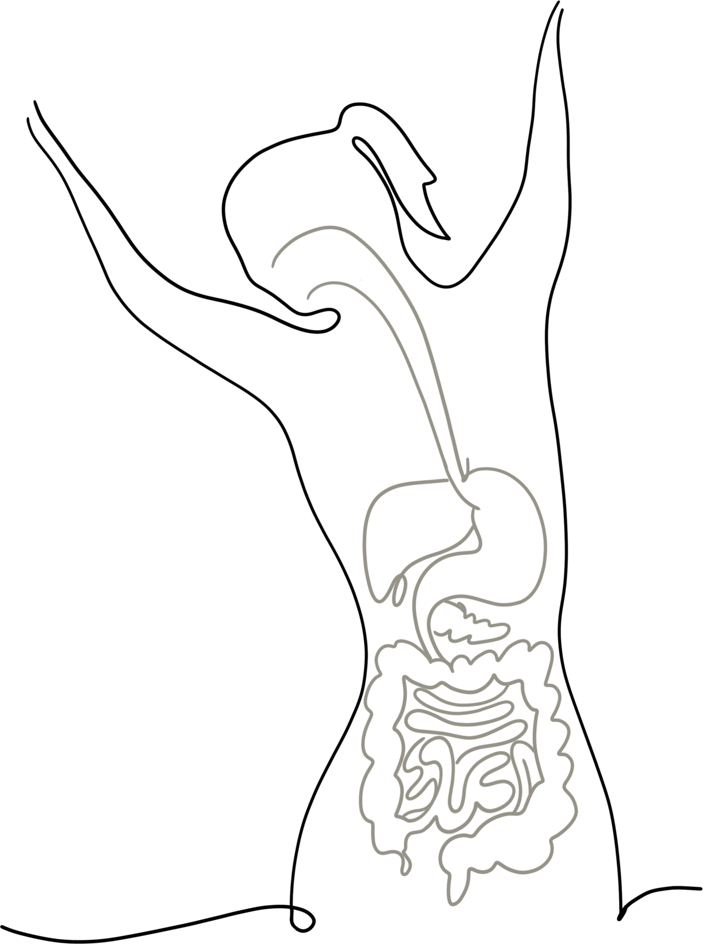 woman&#x27;s silhouette and organs in motion outline sketch