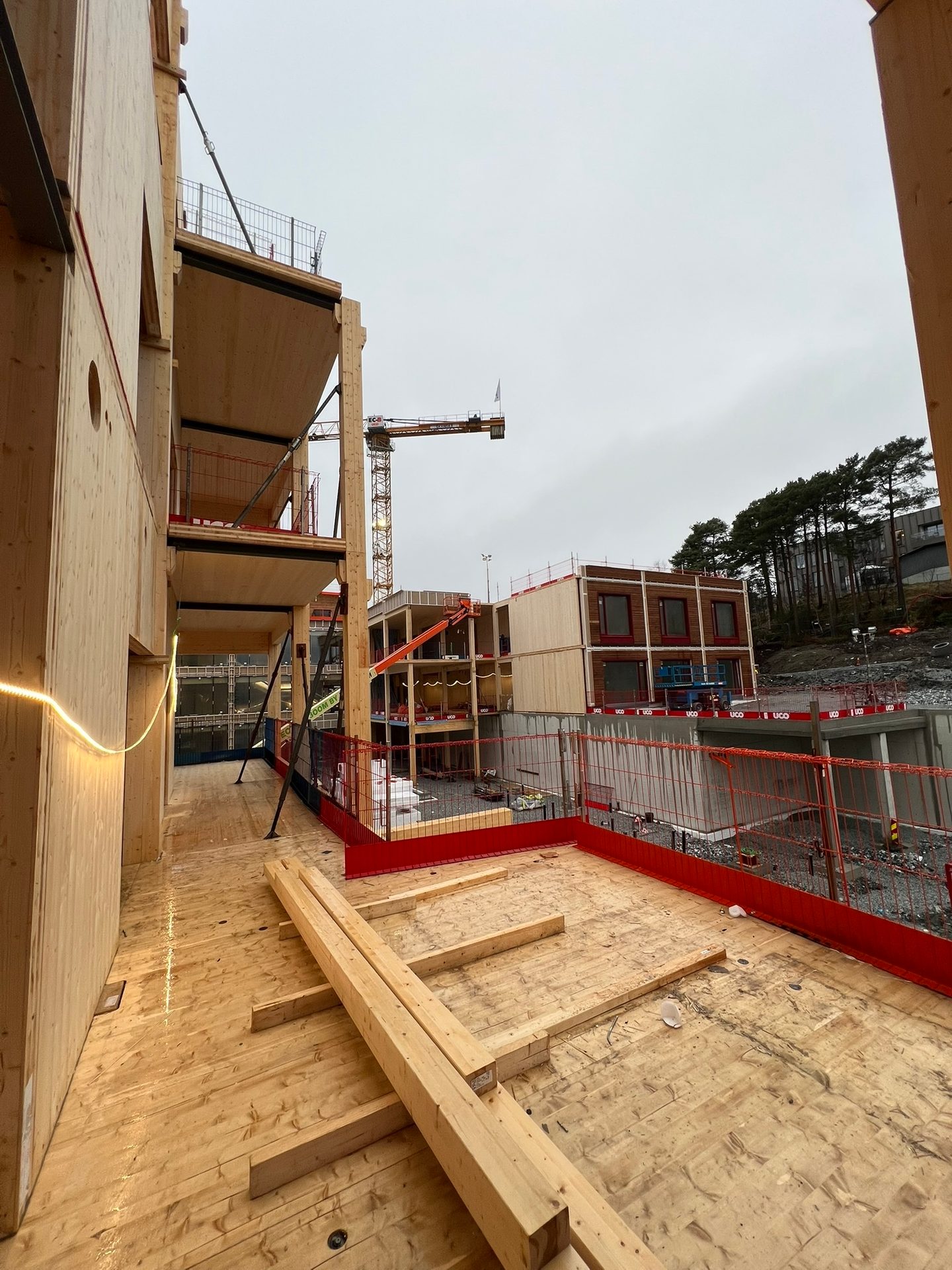 Composite material, Wood