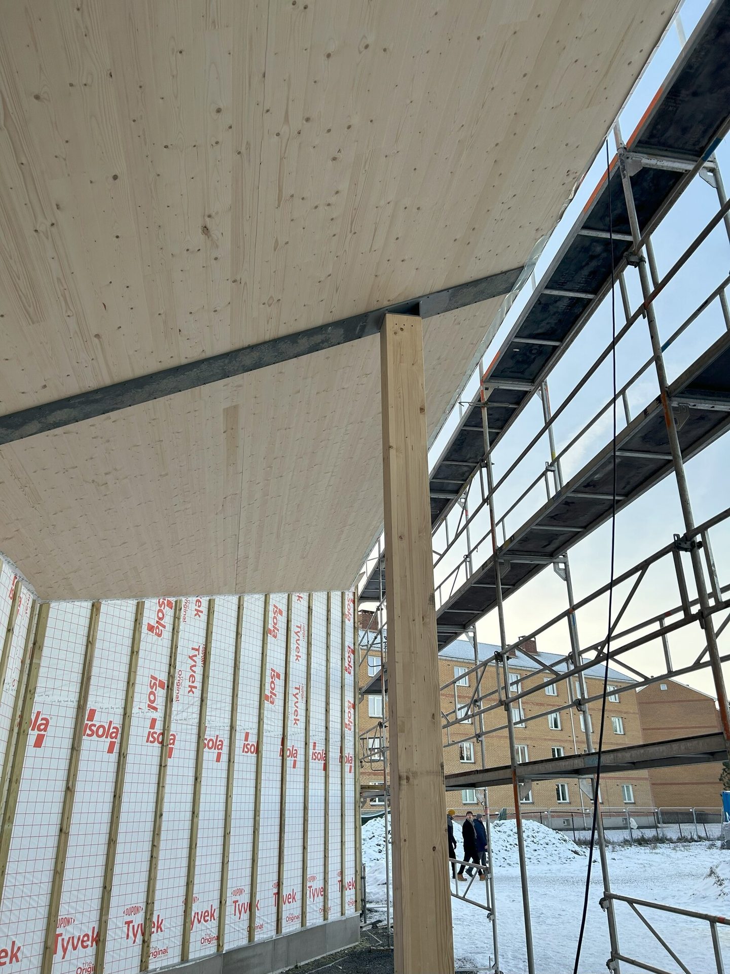 Composite material, Wood