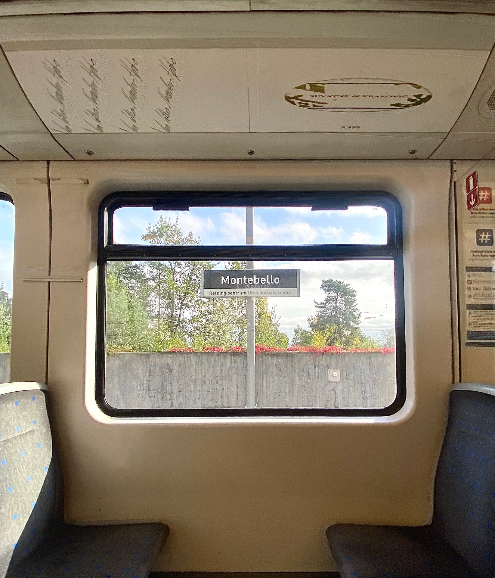Mode of transport, Land vehicle, Automotive exterior, Train, Window, Plant