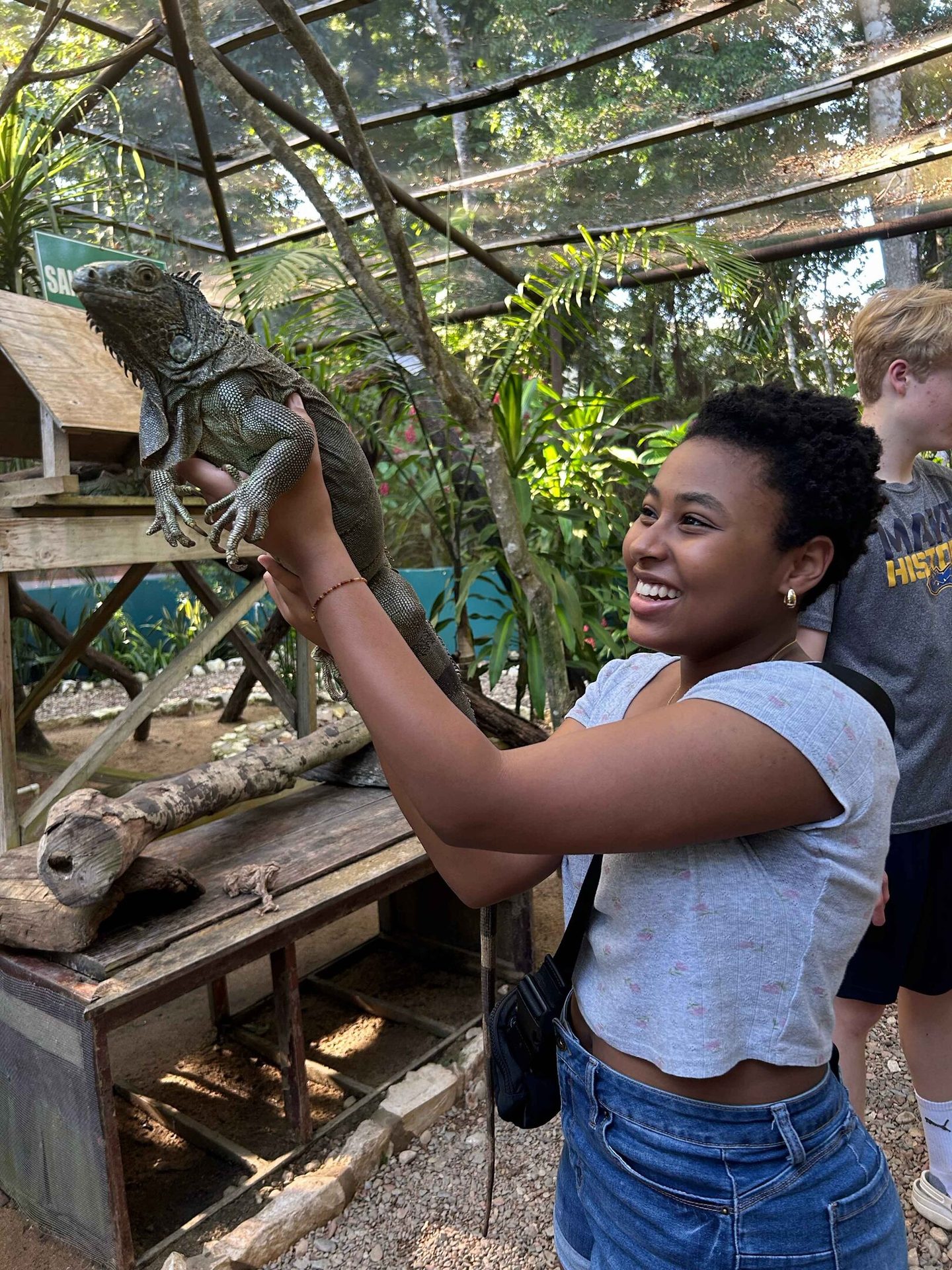 A smiling person holds a large green iguana in a natural enclosure.
