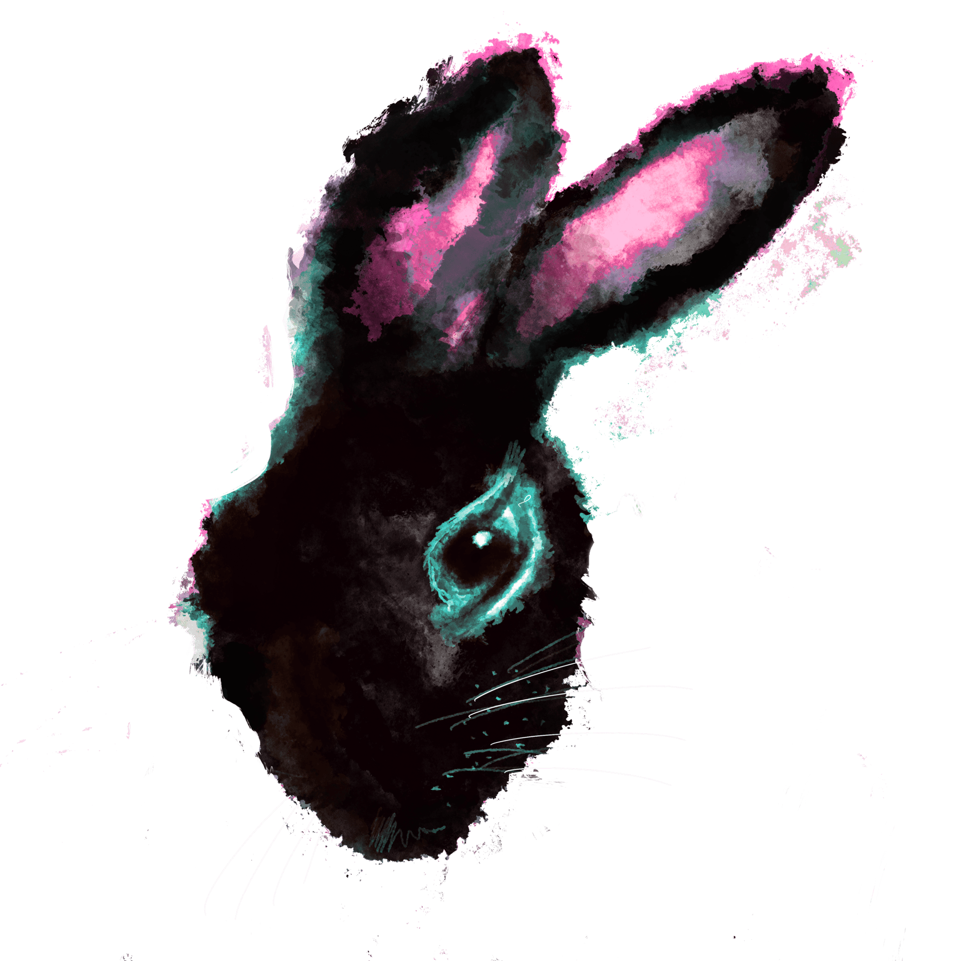 Domestic rabbit, Leporids, Hare