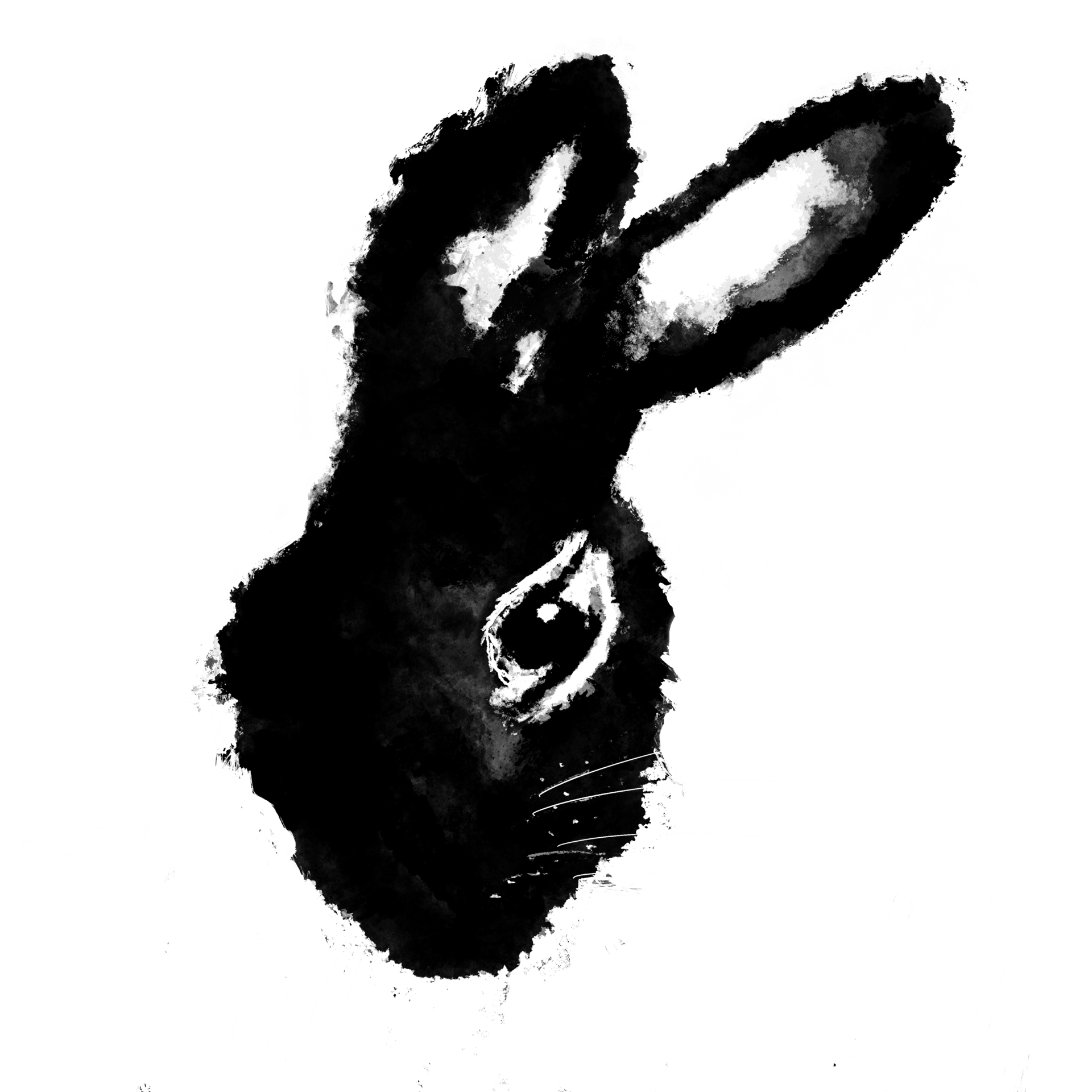 Domestic rabbit, Leporids, Hare, Snout