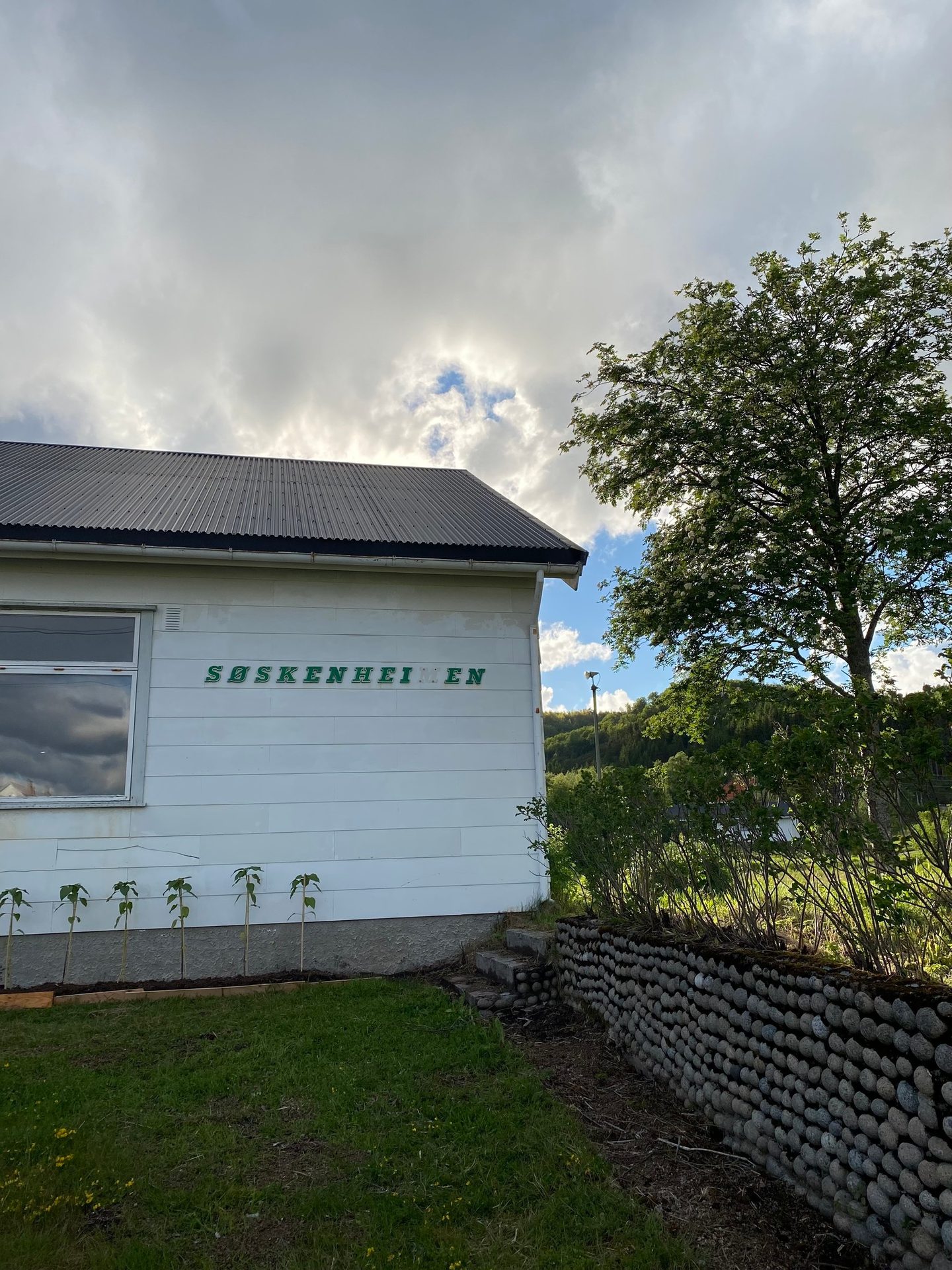Cloud, Sky, Plant, Building, Tree, Wood, Grass, House