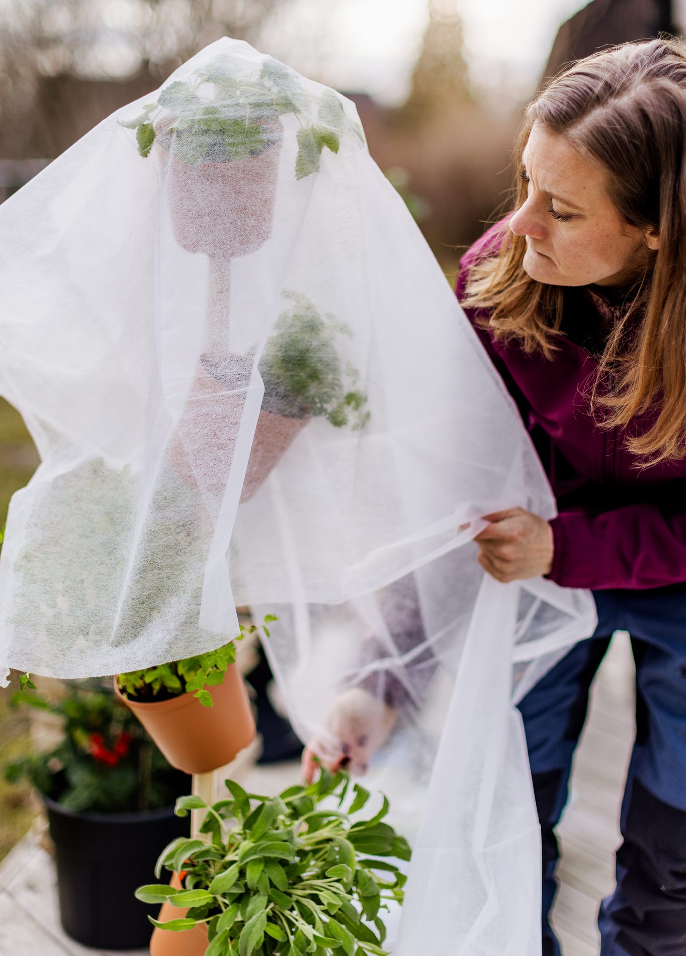 Woman gently placing a white protective cover over potted plants to shield them from the elements.