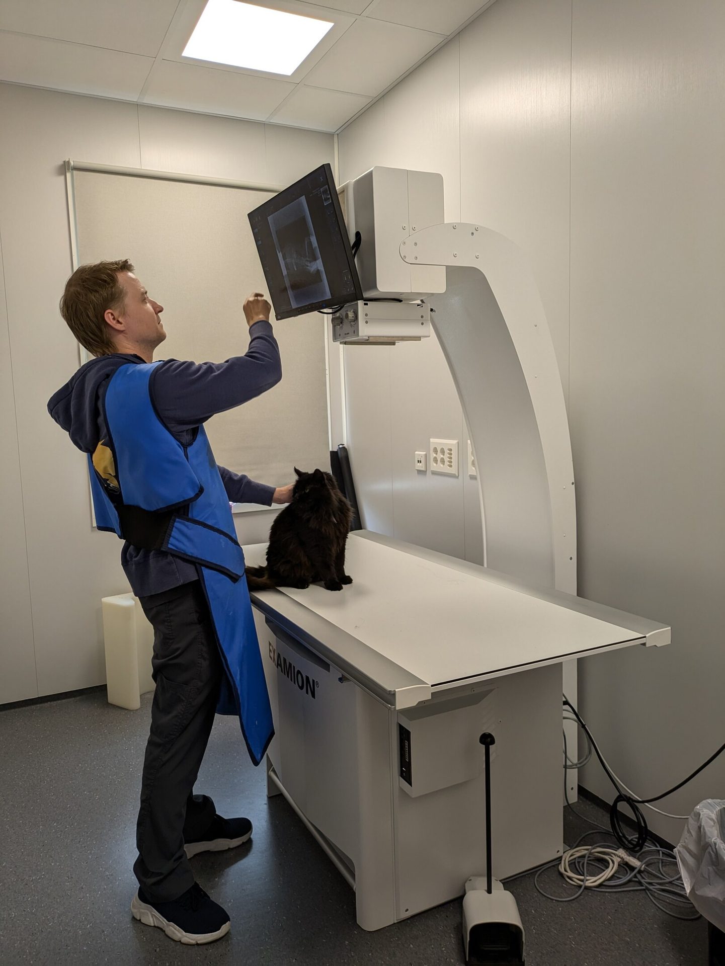 Automotive design, Standing