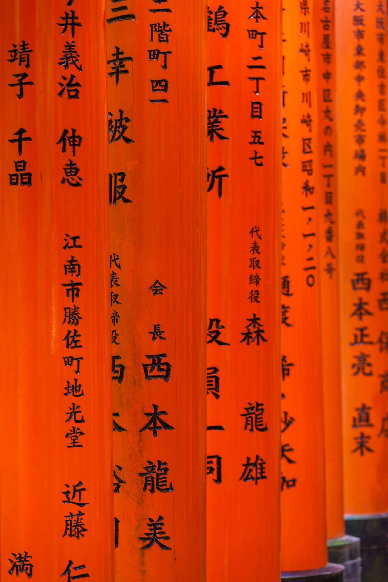 Rows of bright orange Japanese torii gates adorned with black calligraphy, viewed from a slightly angled perspective.