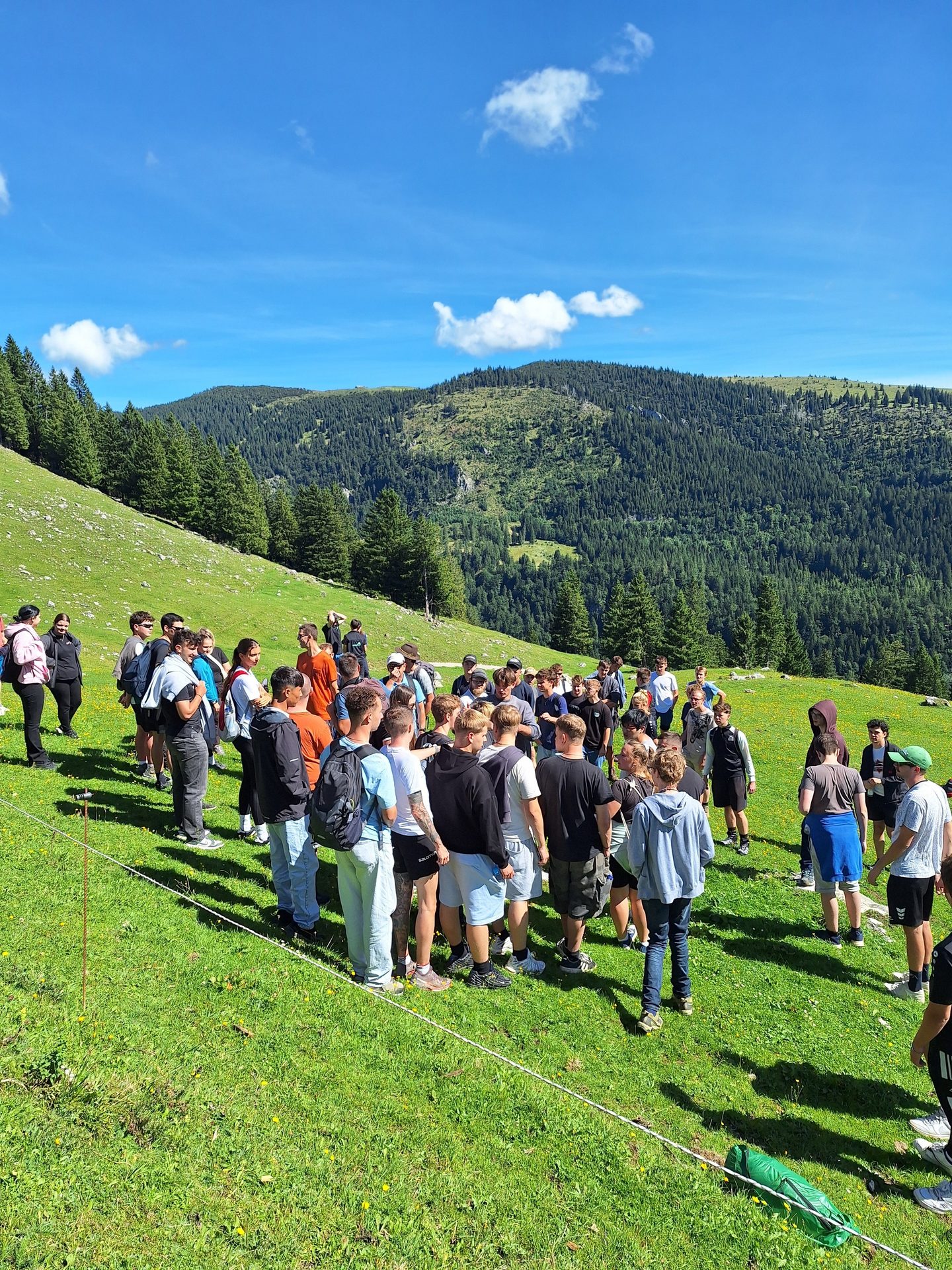 A large group of people gathered on a sunny, green mountain slope with pine forests and blue sky.