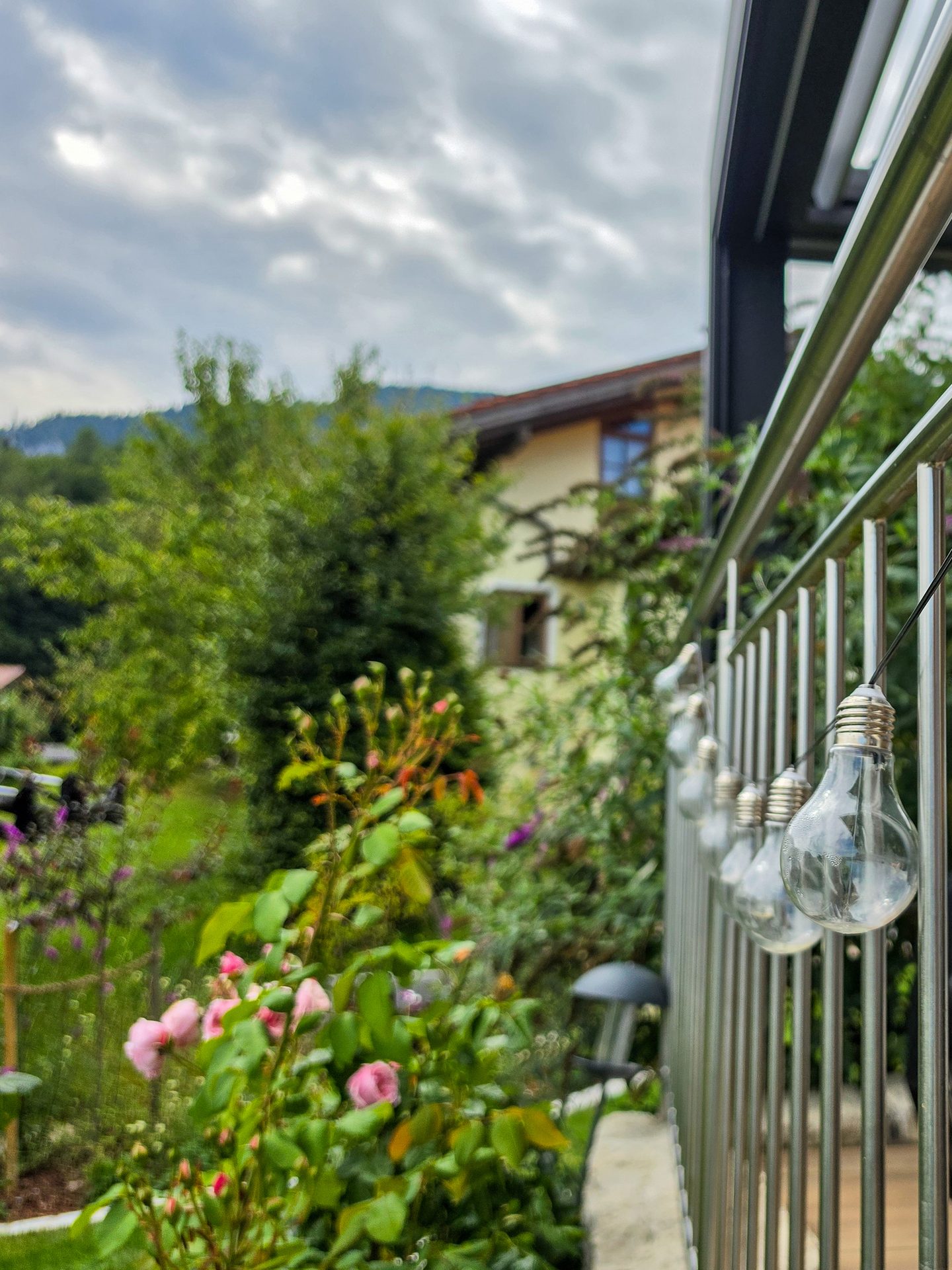 Close-up of string lights on a balcony railing with pink roses, a house, and trees in the blurred background.