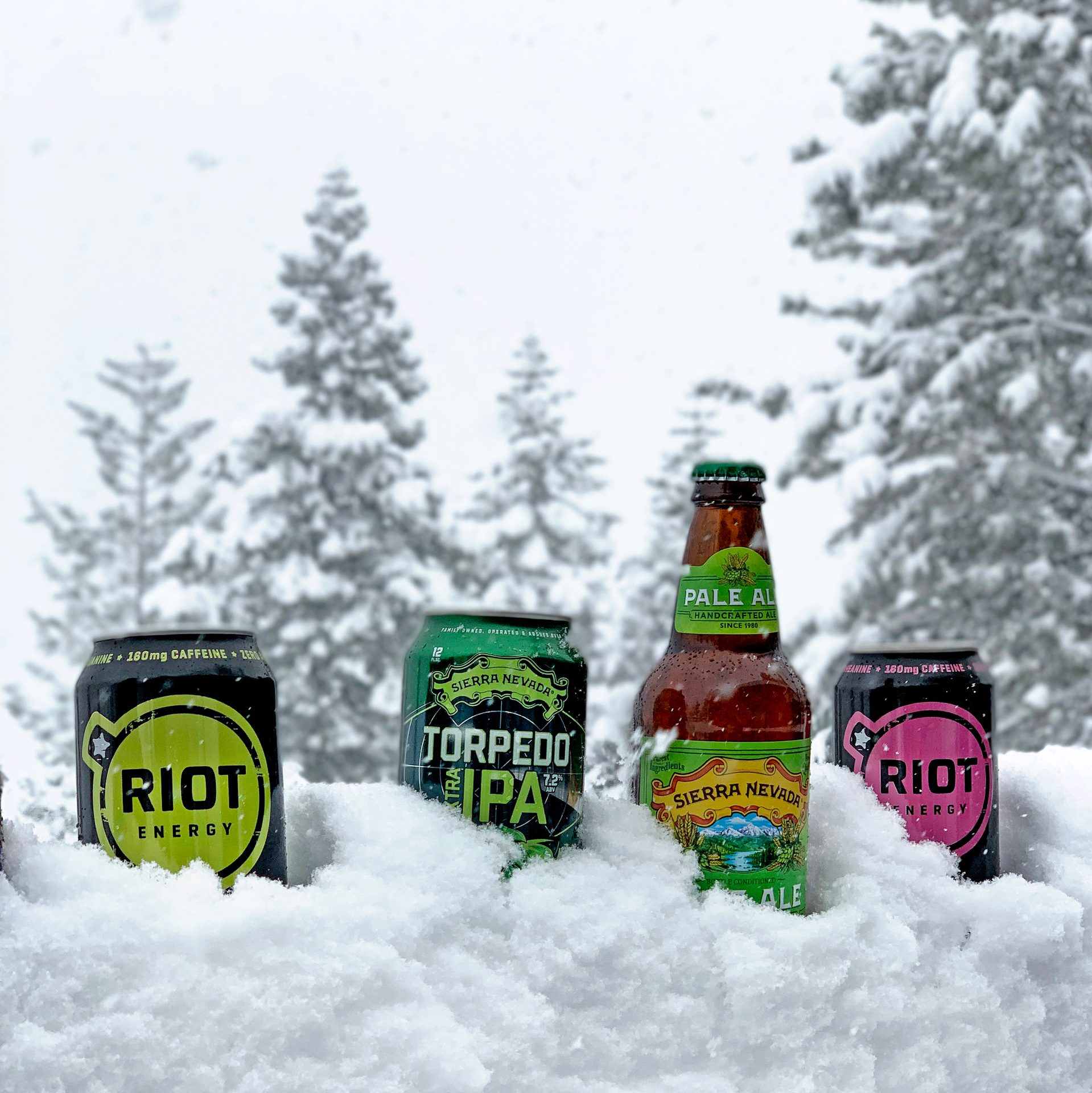 Snow, Plant, Bottle, Liquid, Tree, Beer, Freezing, Drink