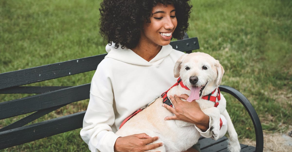 Seasonal Allergies in Pets