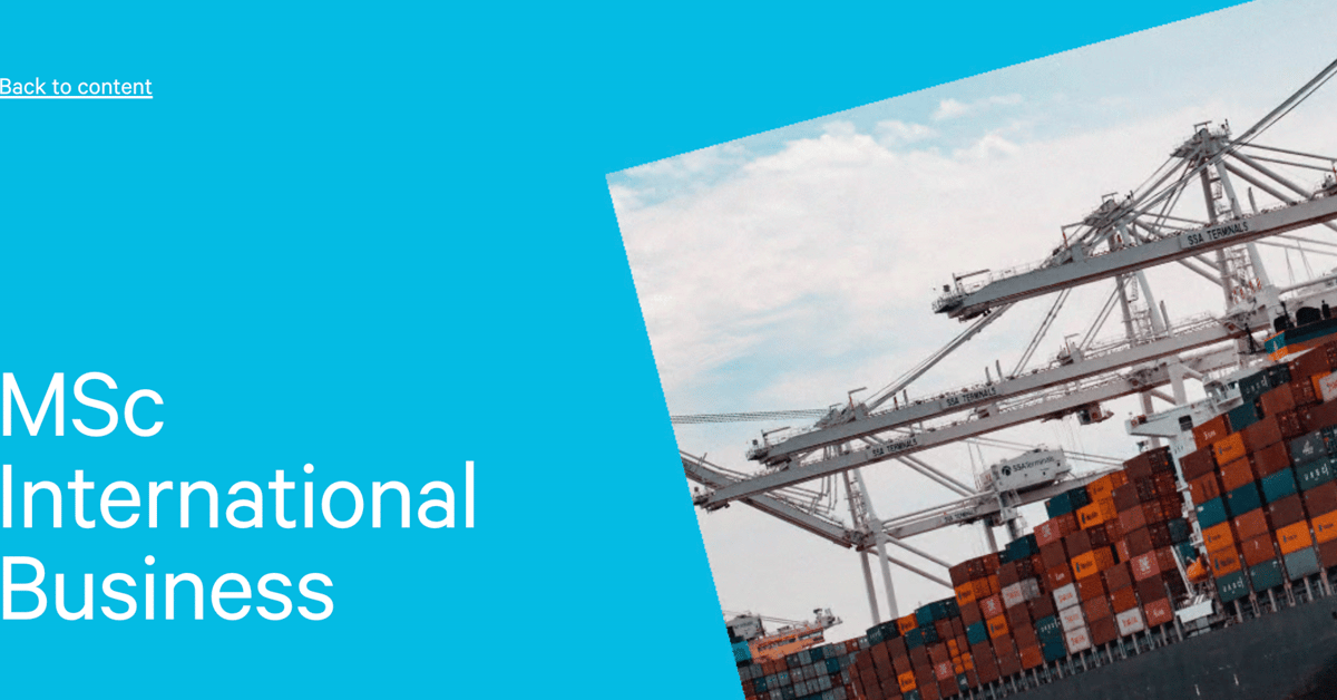 MSc International Business