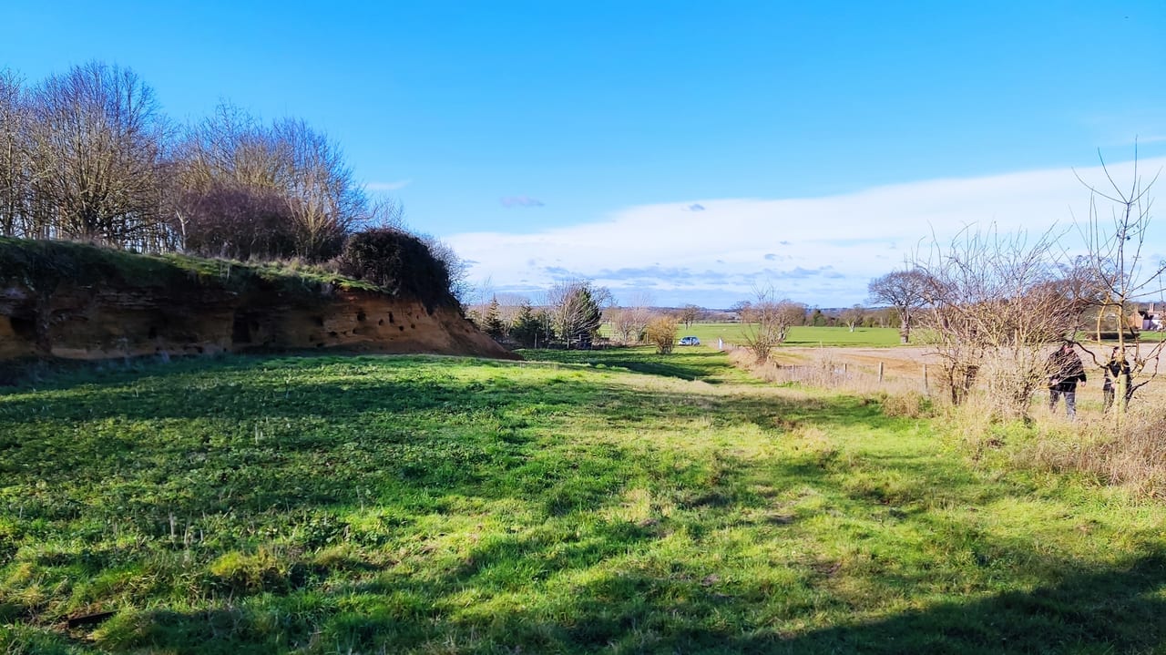 Plant community, Natural landscape, Land lot, Sky, Cloud, Vegetation, Tree