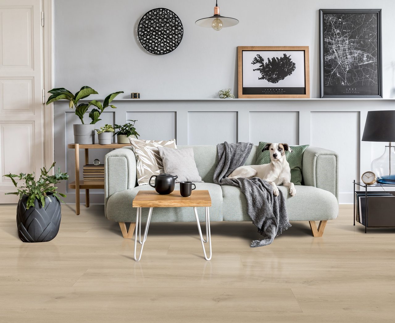 Picture frame, Interior design, Plant, Property, Table, Couch, Furniture, White, Comfort, Wood