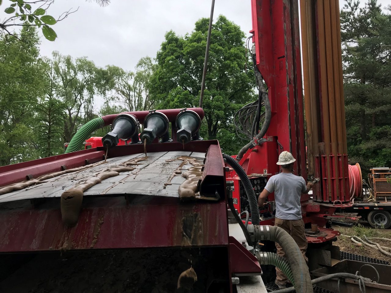 Motor vehicle, Automotive tire, Rolling stock, Wheel, Plant, Tree, Wood