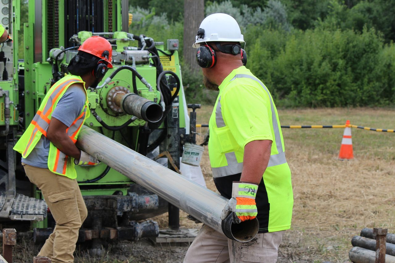 Hard hat, High-visibility clothing, Helmet, Workwear, Plant, Tree, Engineer, Tradesman