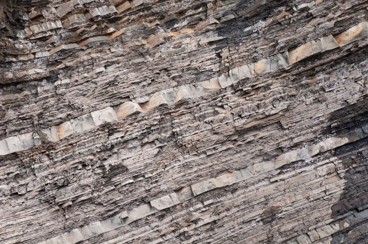Brown, Wood, Bedrock, Trunk, Grey