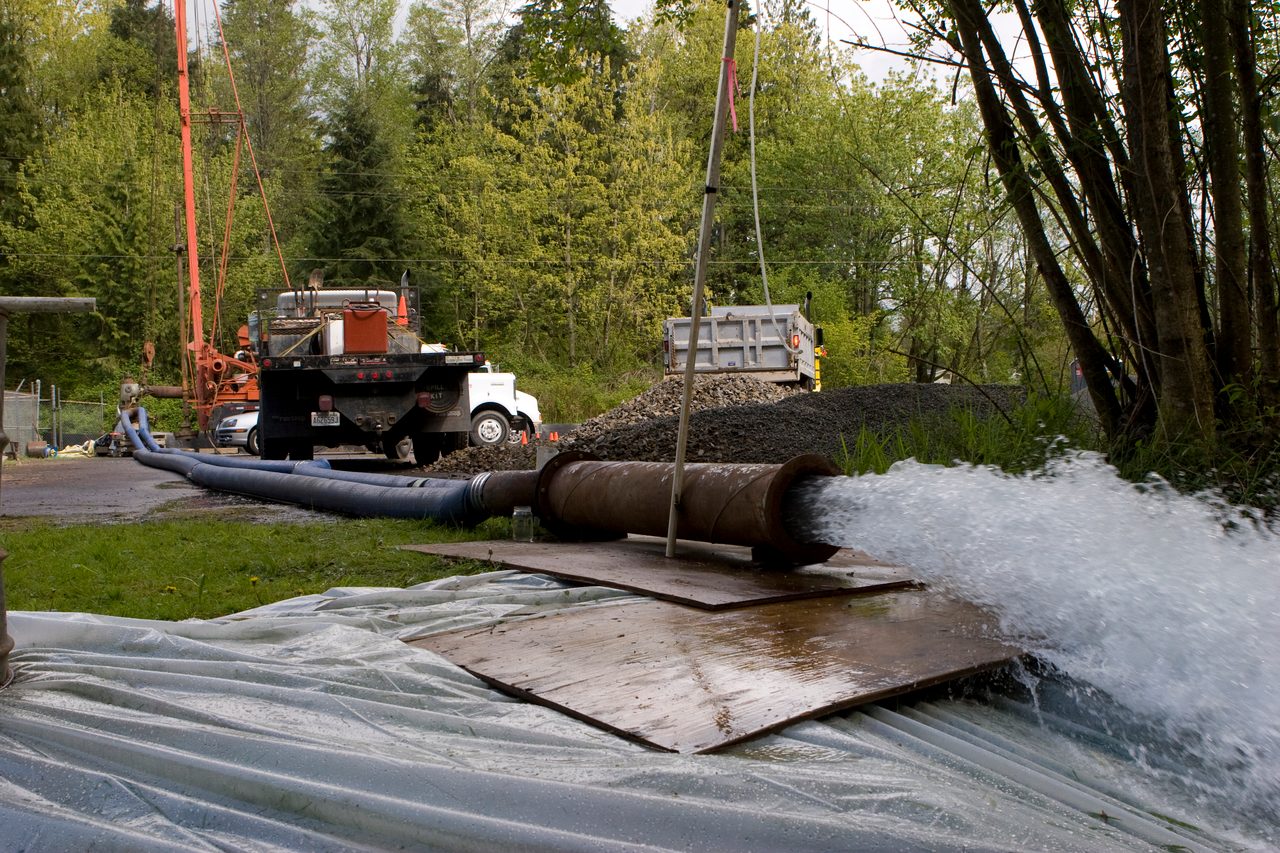 Automotive tire, Motor vehicle, Road surface, Water, Plant, Wheel, Tree, Wood