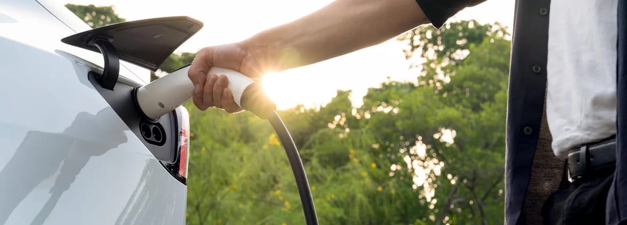Bicycles--Equipment and supplies, People in nature, Automotive lighting, Bicycle handlebar, Hand, Plant, Gesture, Grass, Finger, Window